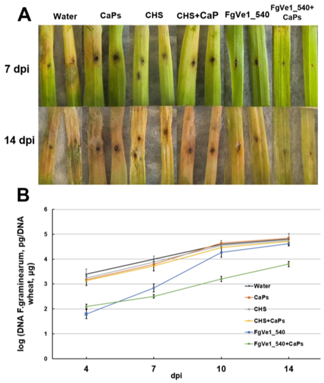 Ijms 26 10021 g006 Ijms 26 10021 g006