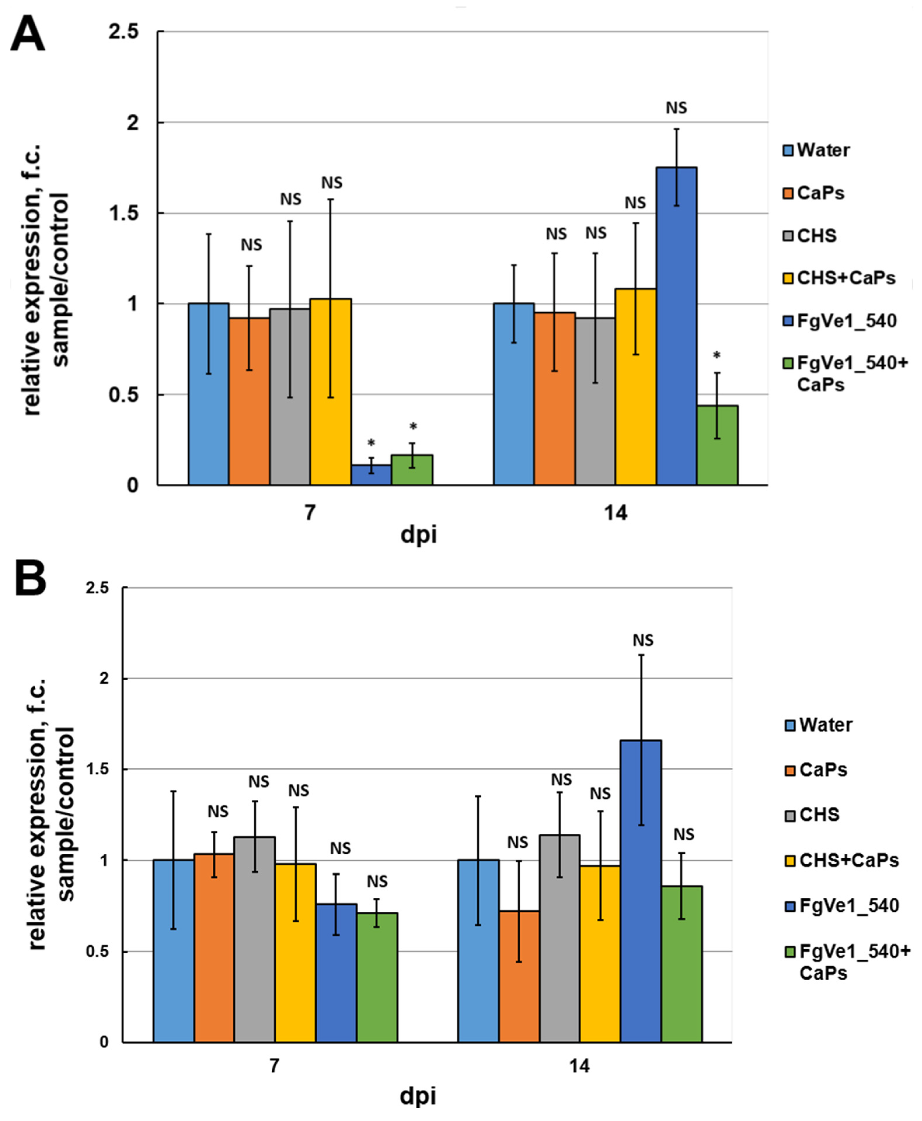 Ijms 26 10021 g007 Ijms 26 10021 g007