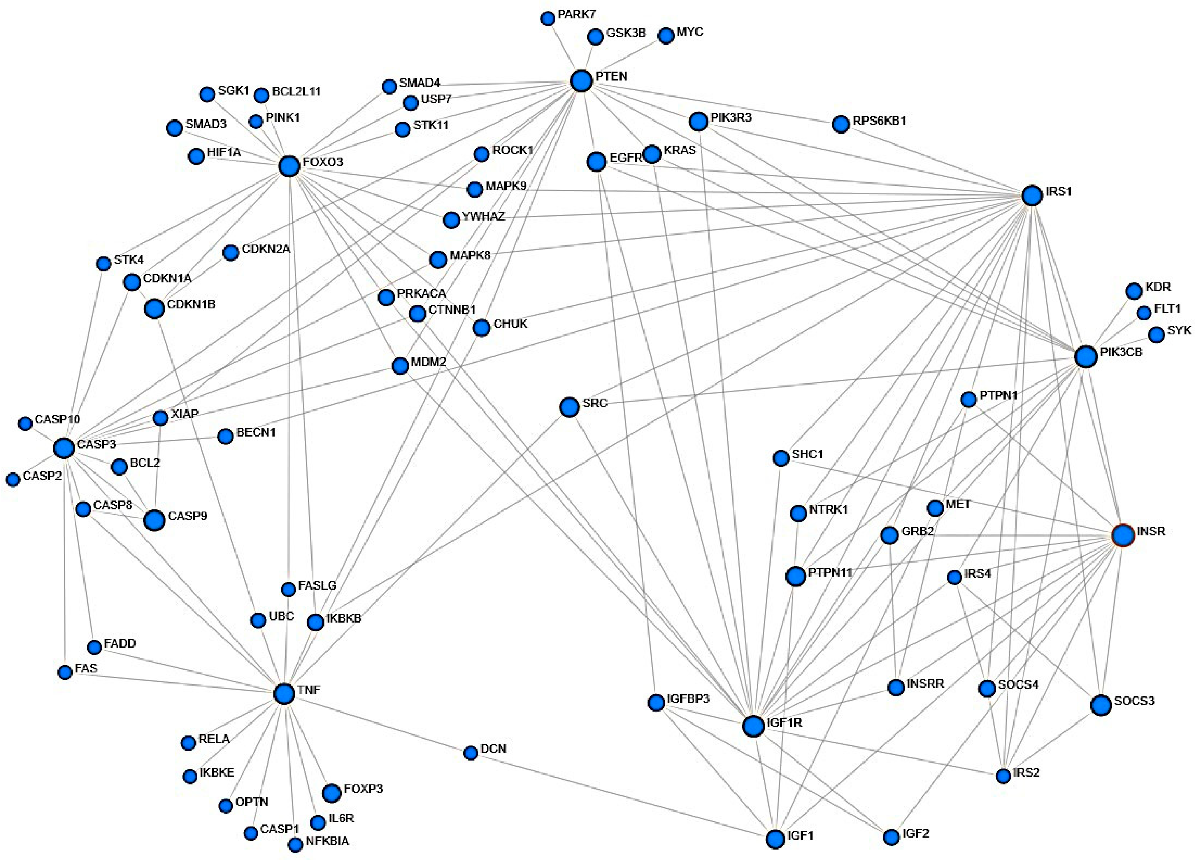 Ijms 26 10027 g002 Ijms 26 10027 g002