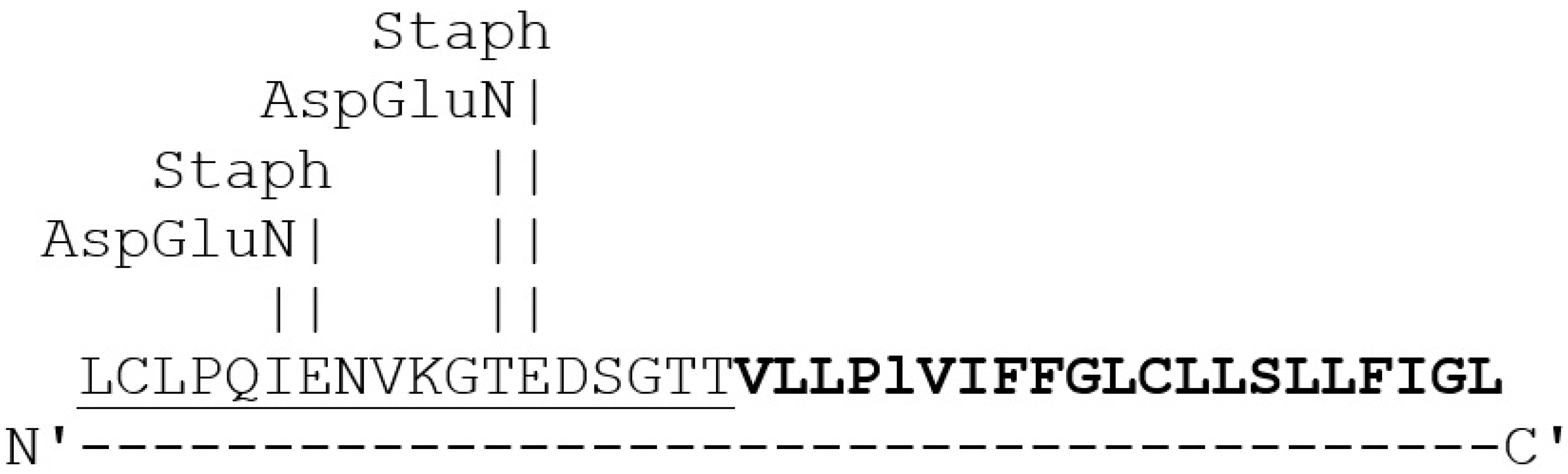 Ijms 26 10027 g004 Ijms 26 10027 g004