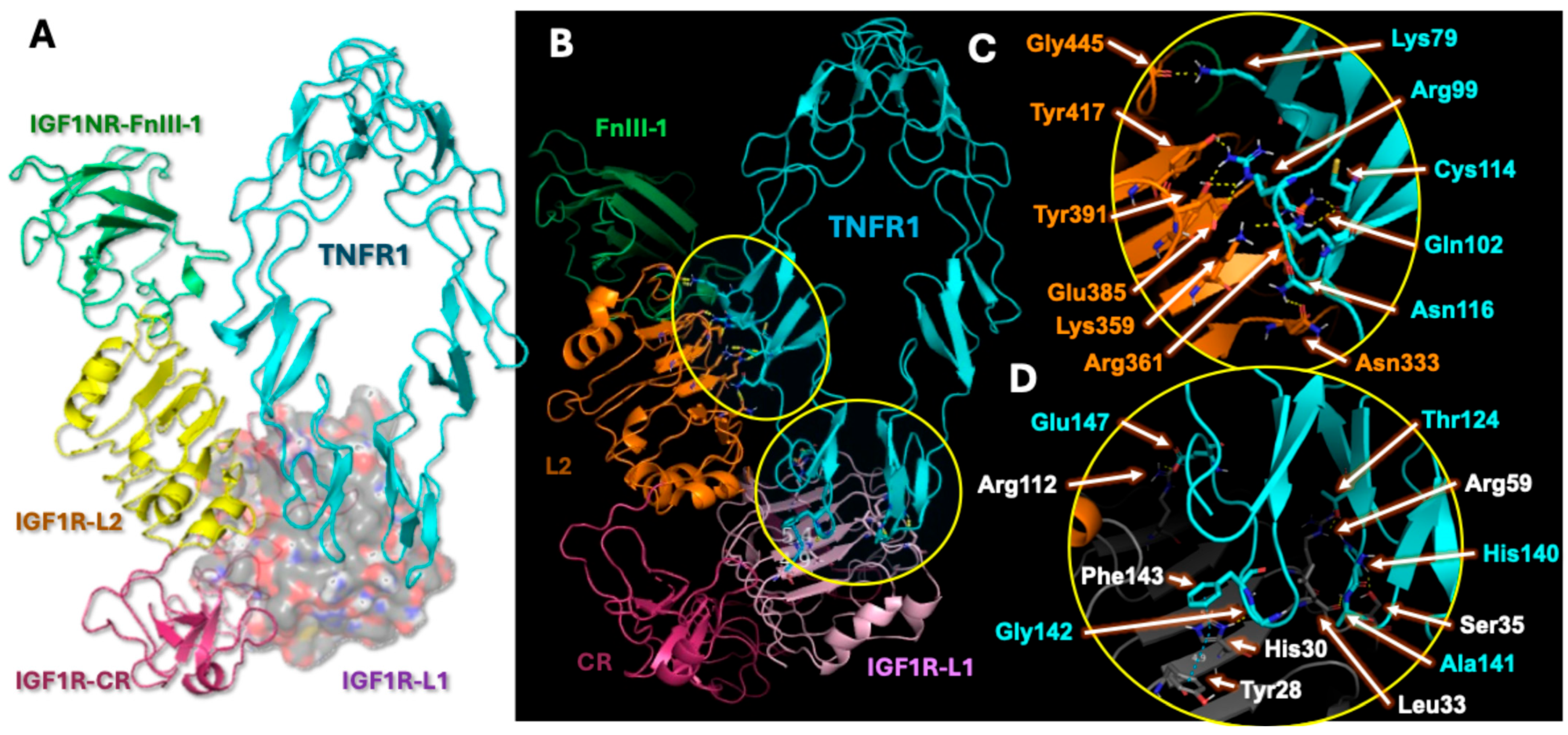 Ijms 26 10027 g005 Ijms 26 10027 g005