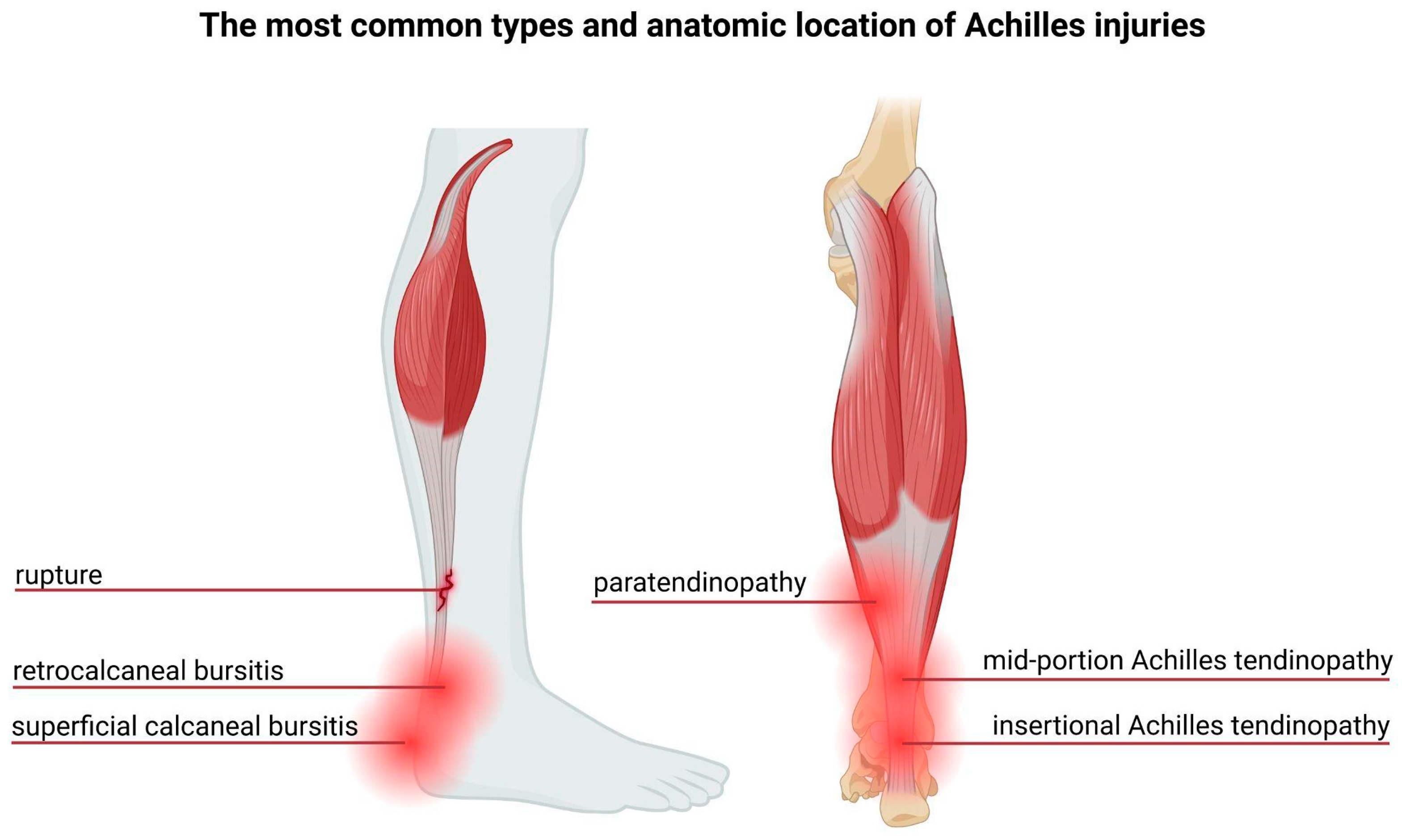 Ijms 26 10028 g002 Ijms 26 10028 g002