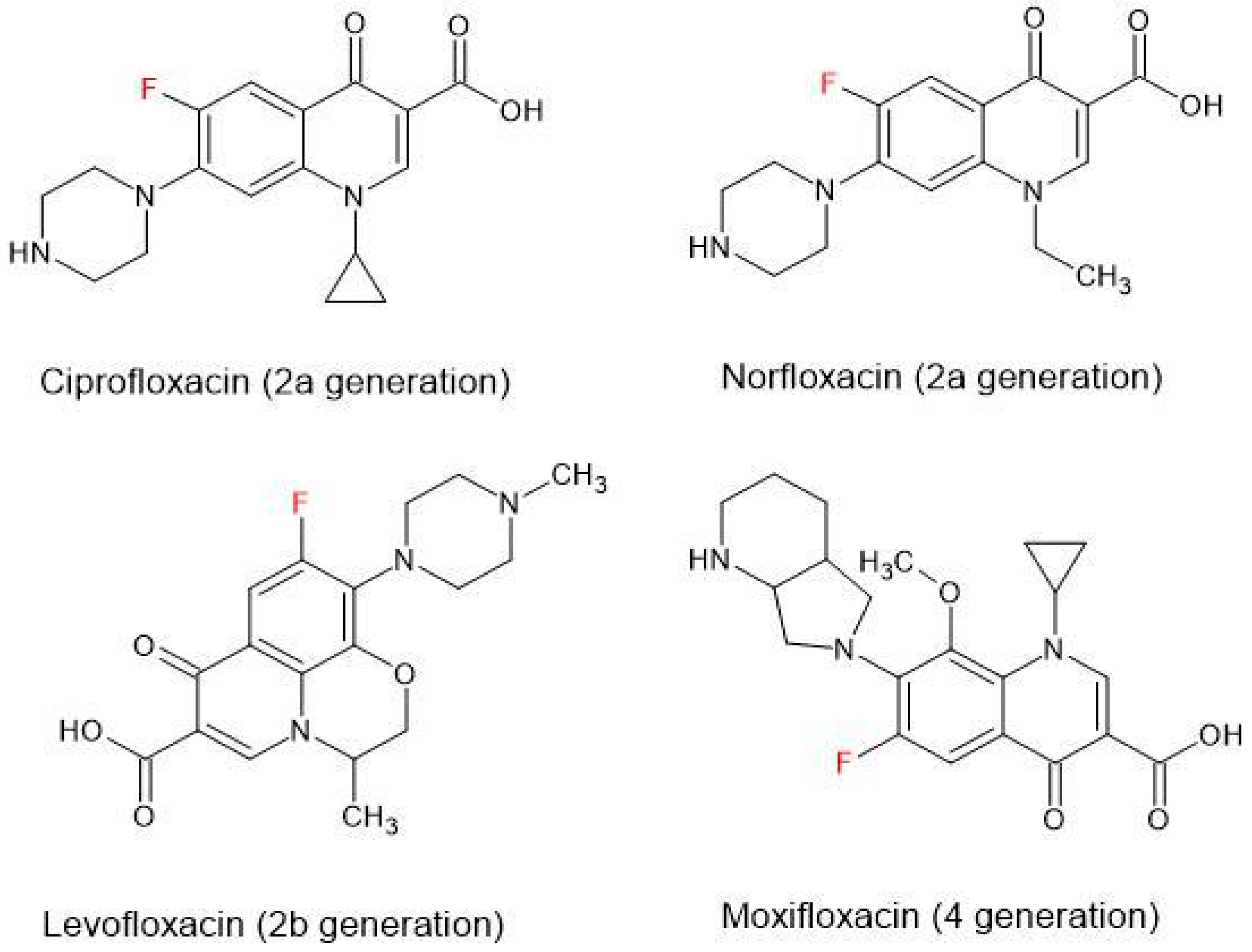 Ijms 26 10028 g003 Ijms 26 10028 g003