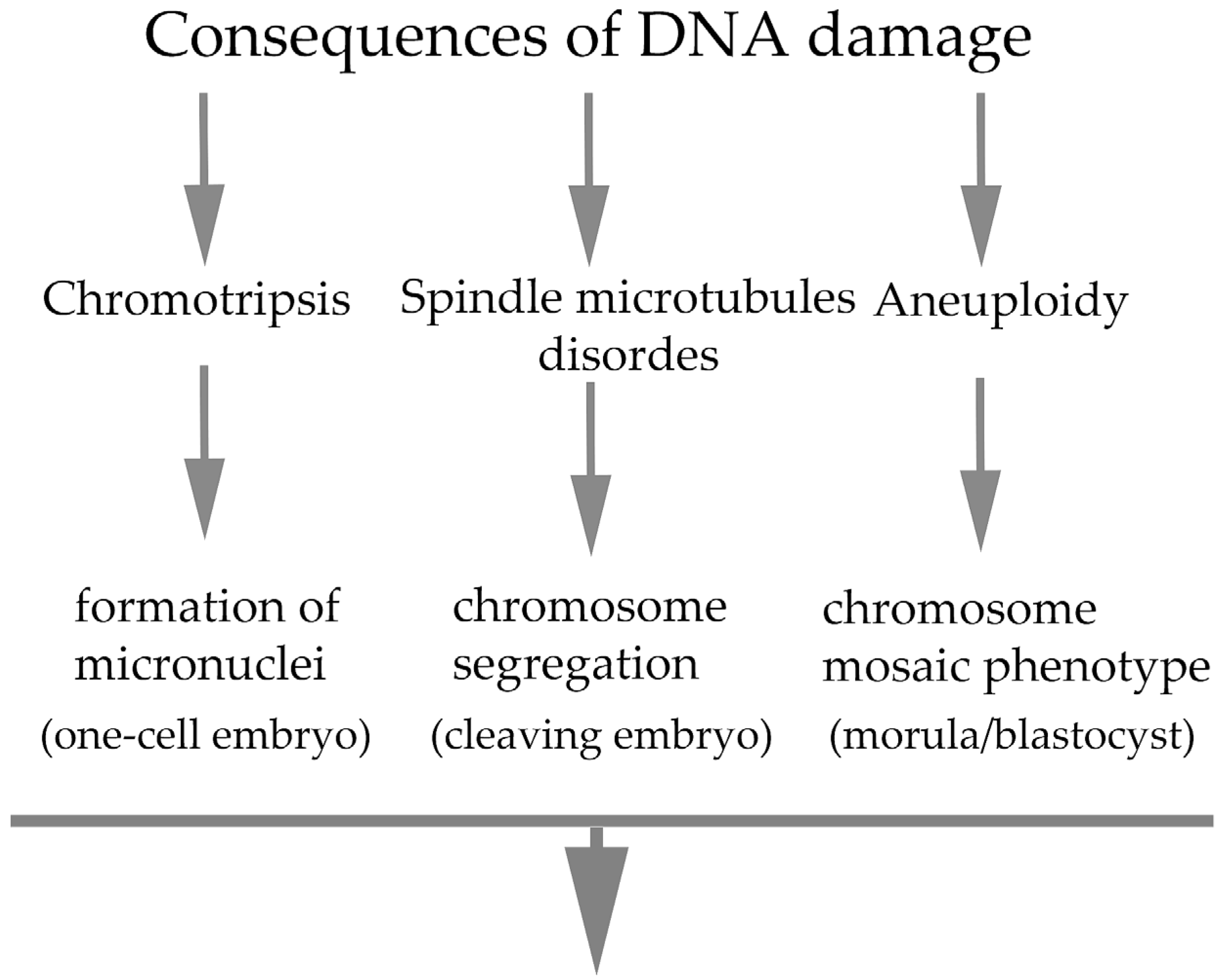 Ijms 26 10031 g002 Ijms 26 10031 g002