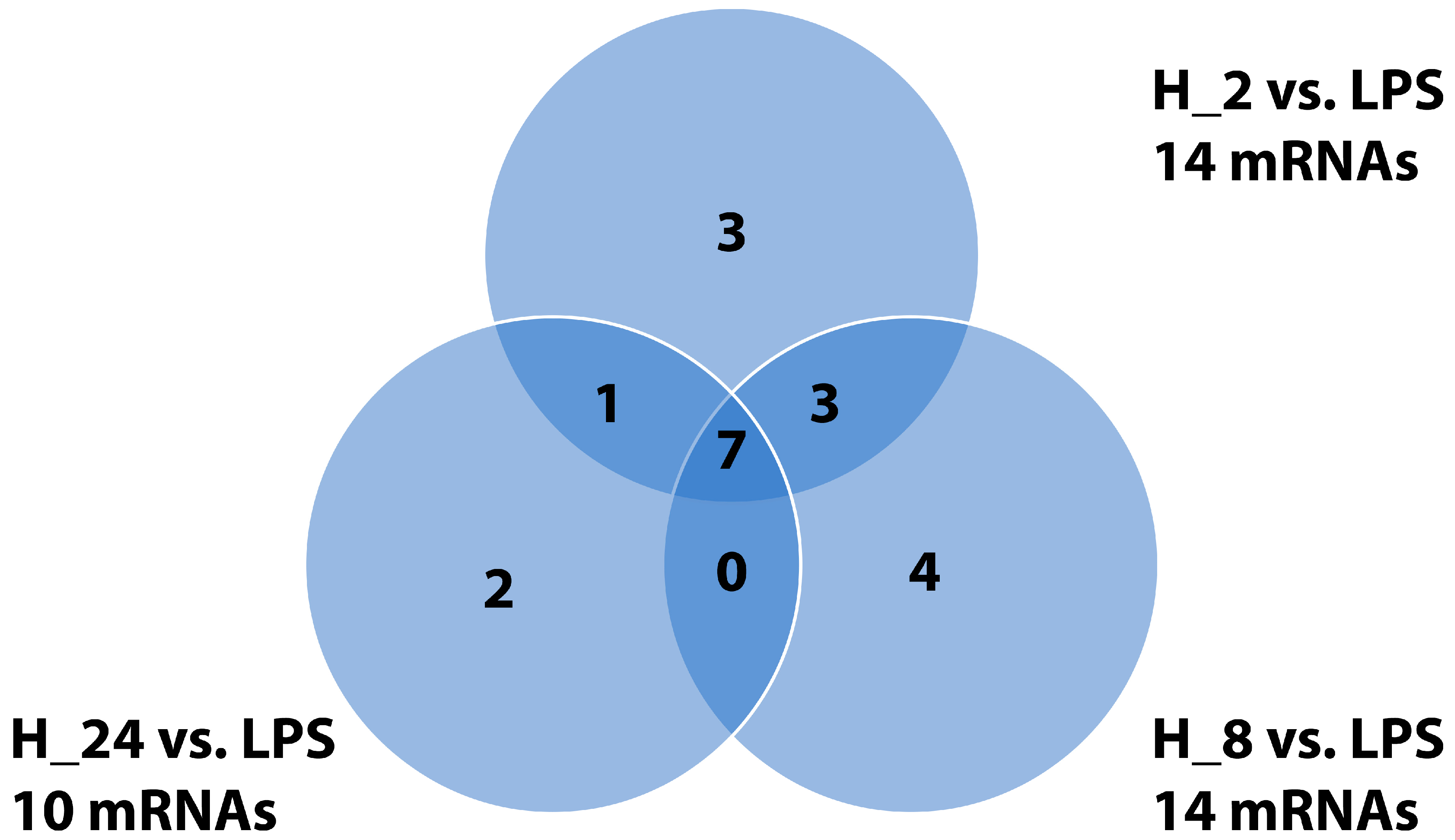 Ijms 26 10035 g001 Ijms 26 10035 g001