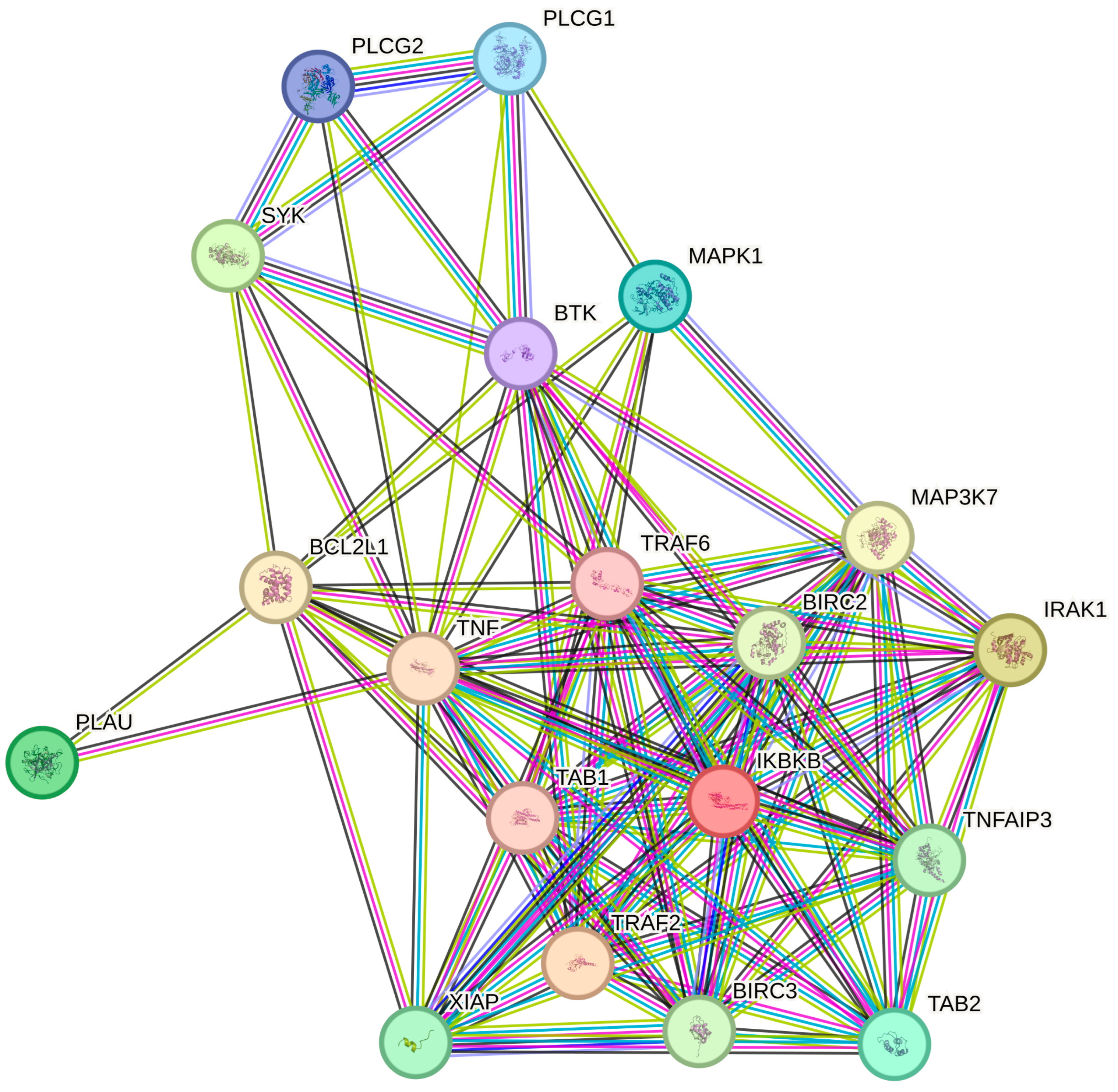 Ijms 26 10035 g004 Ijms 26 10035 g004