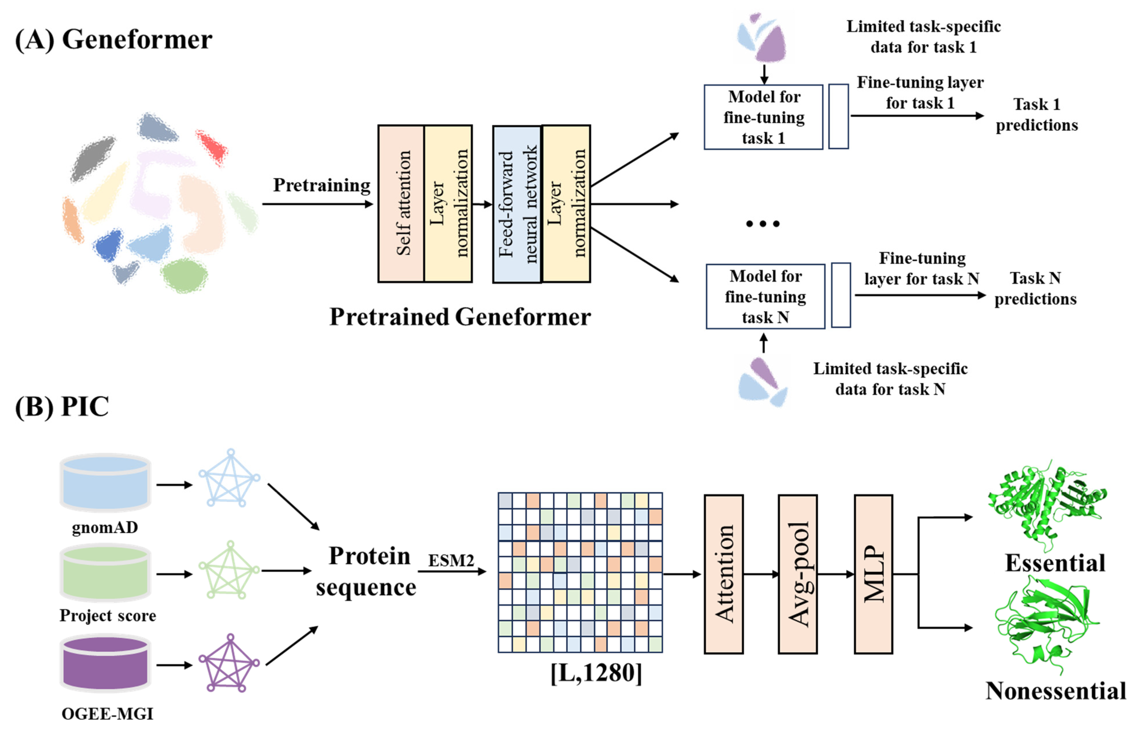 Ijms 26 10037 g003 Ijms 26 10037 g003