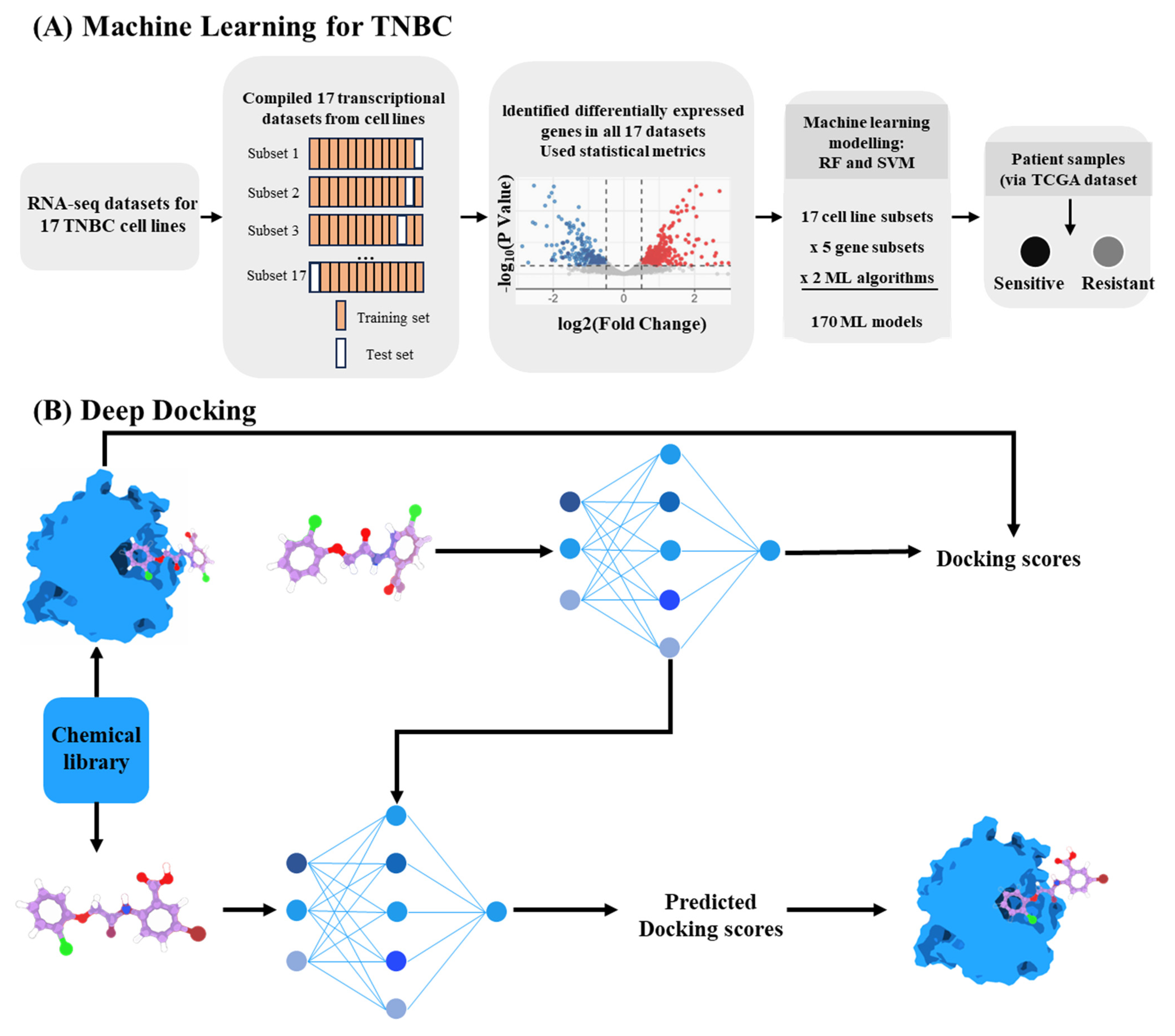 Ijms 26 10037 g004 Ijms 26 10037 g004