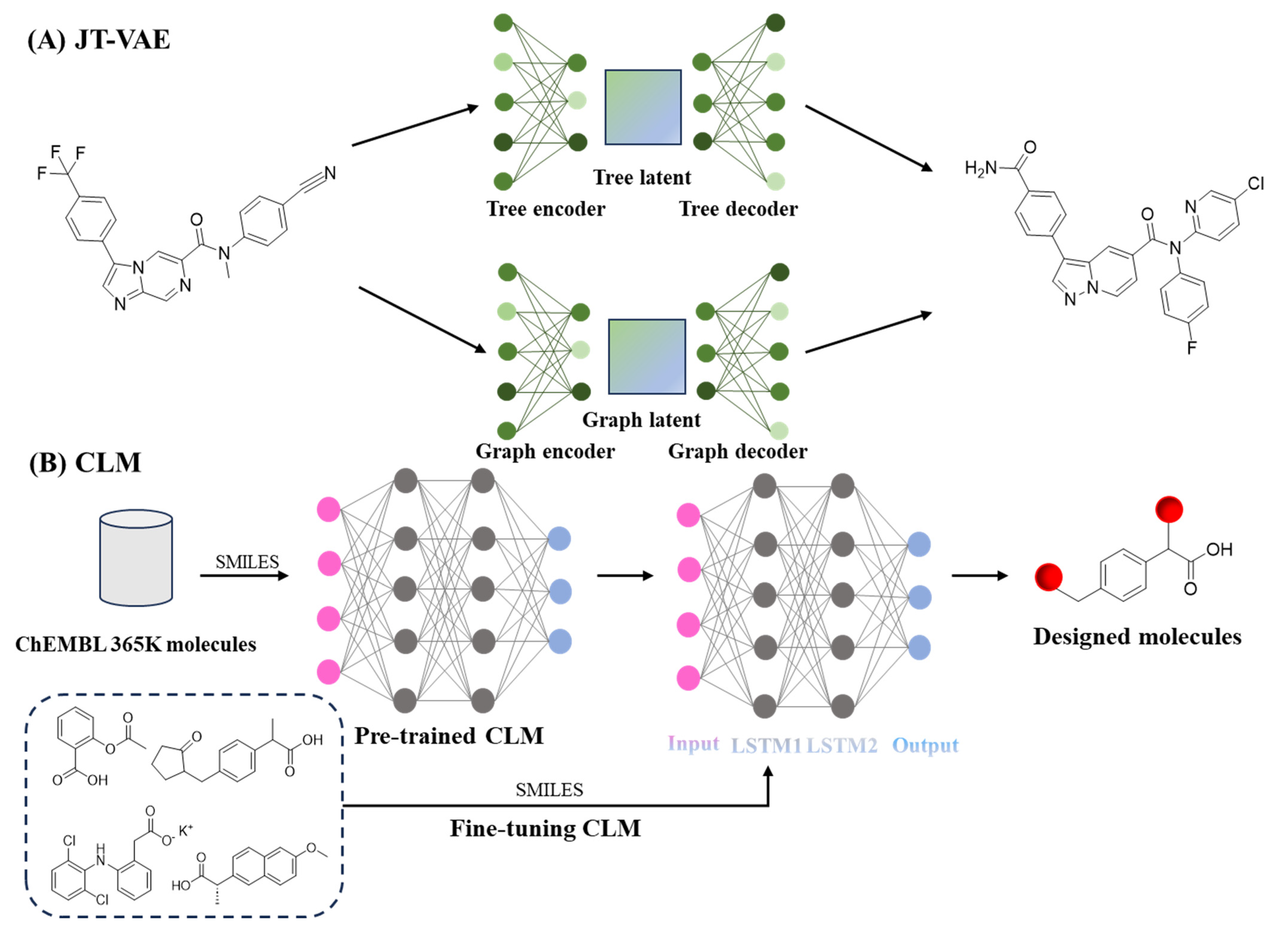 Ijms 26 10037 g006 Ijms 26 10037 g006