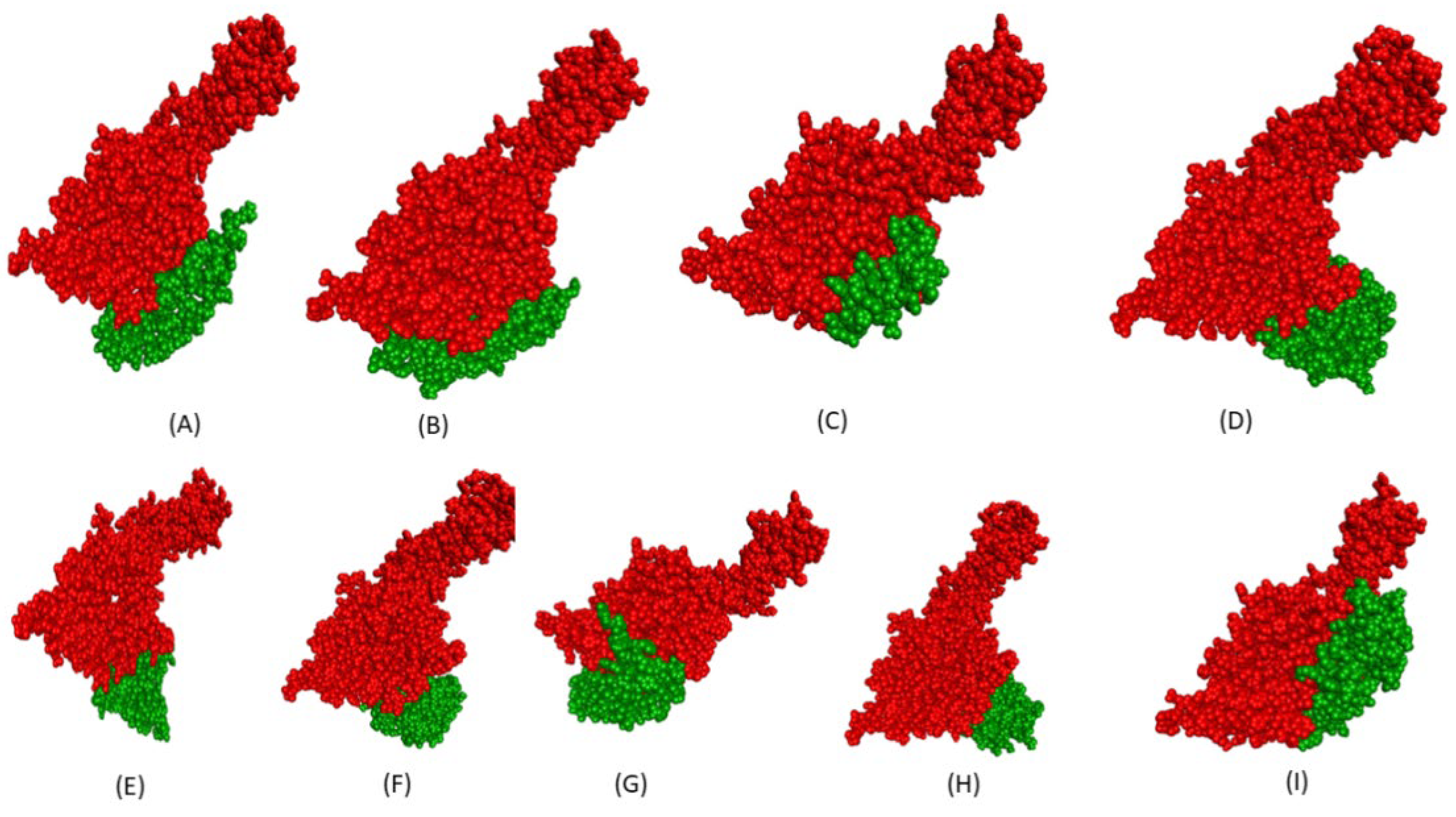 Ijms 26 10038 g001 Ijms 26 10038 g001