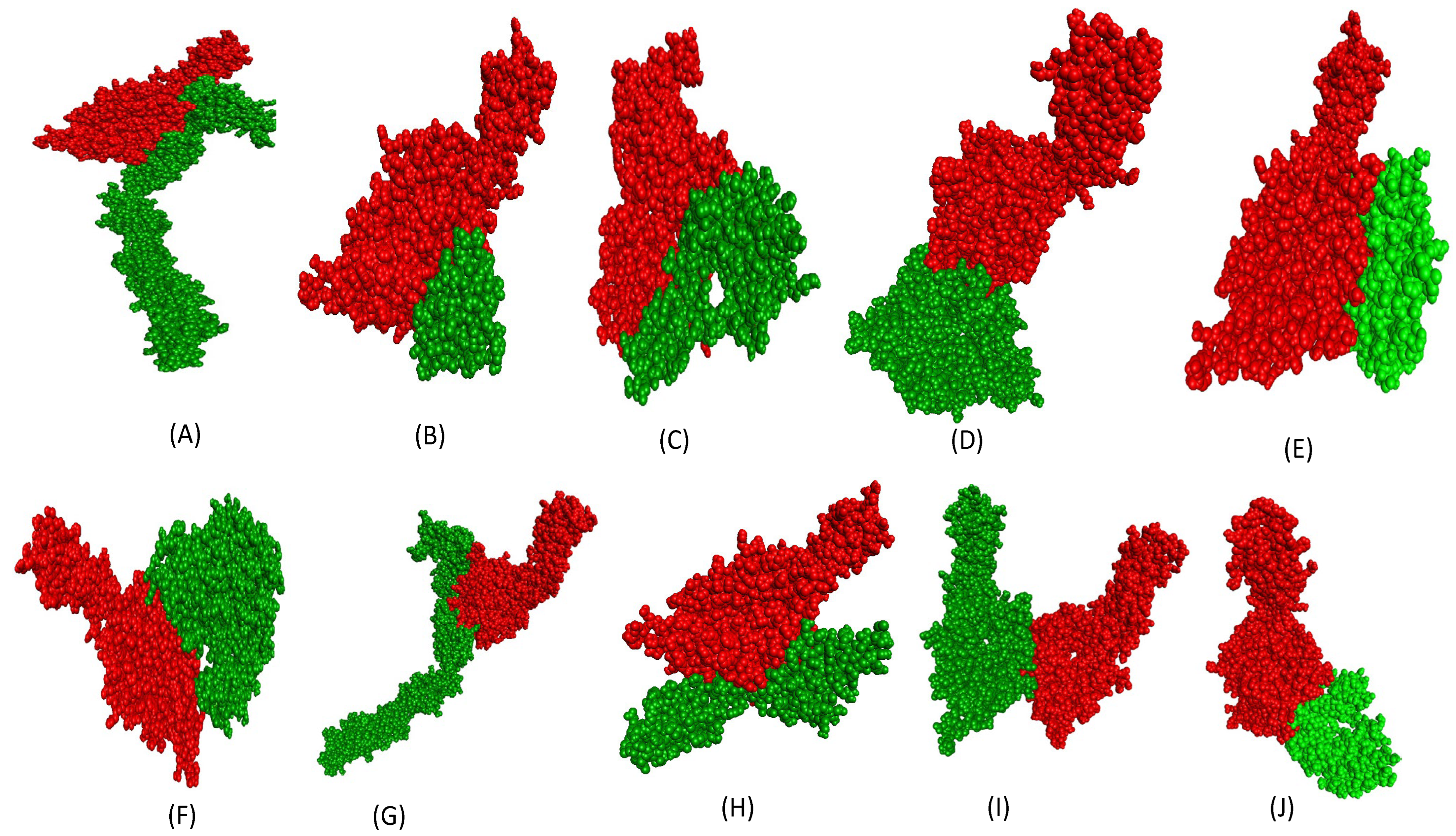 Ijms 26 10038 g002 Ijms 26 10038 g002