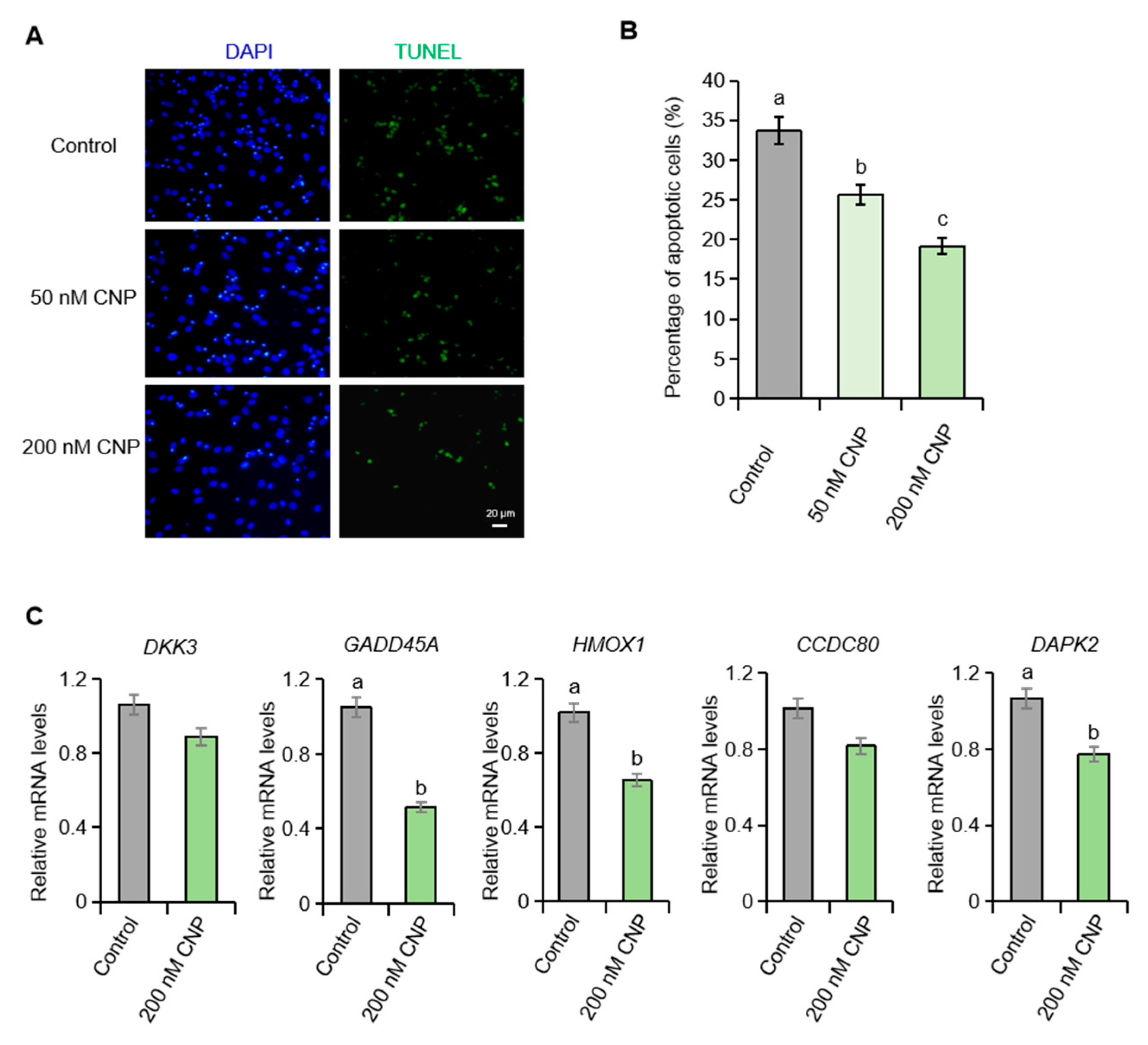 Ijms 26 10046 g002 Ijms 26 10046 g002