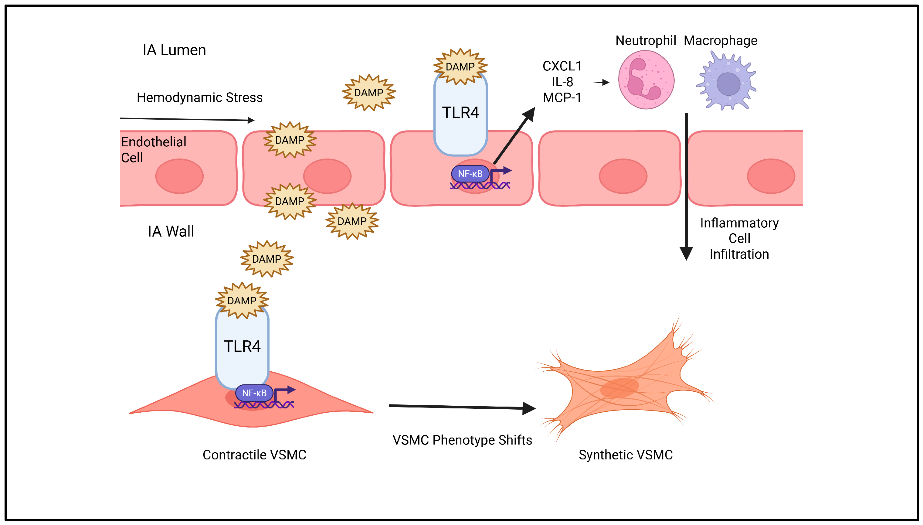 Ijms 26 10053 g001 Ijms 26 10053 g001