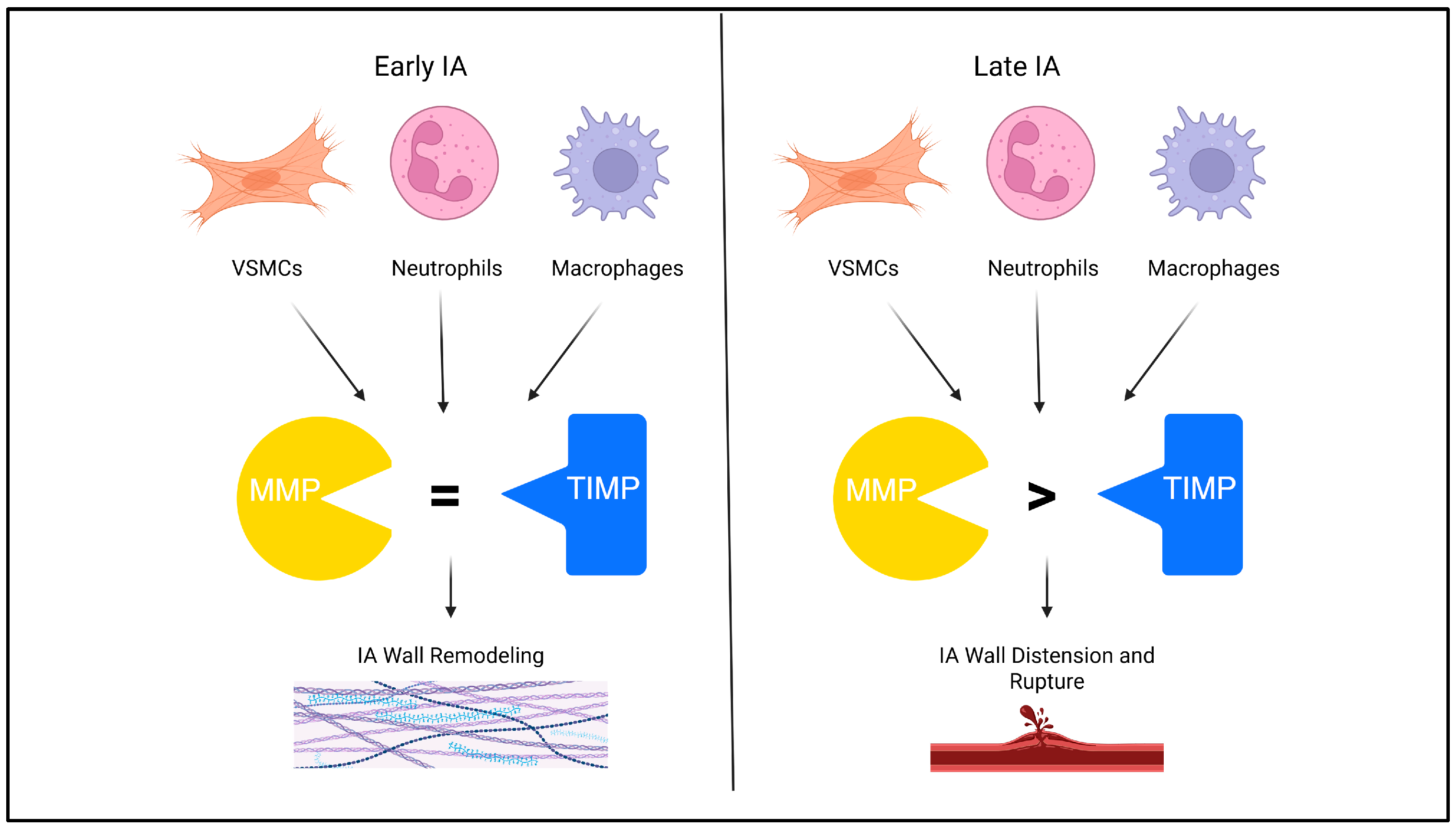 Ijms 26 10053 g002 Ijms 26 10053 g002