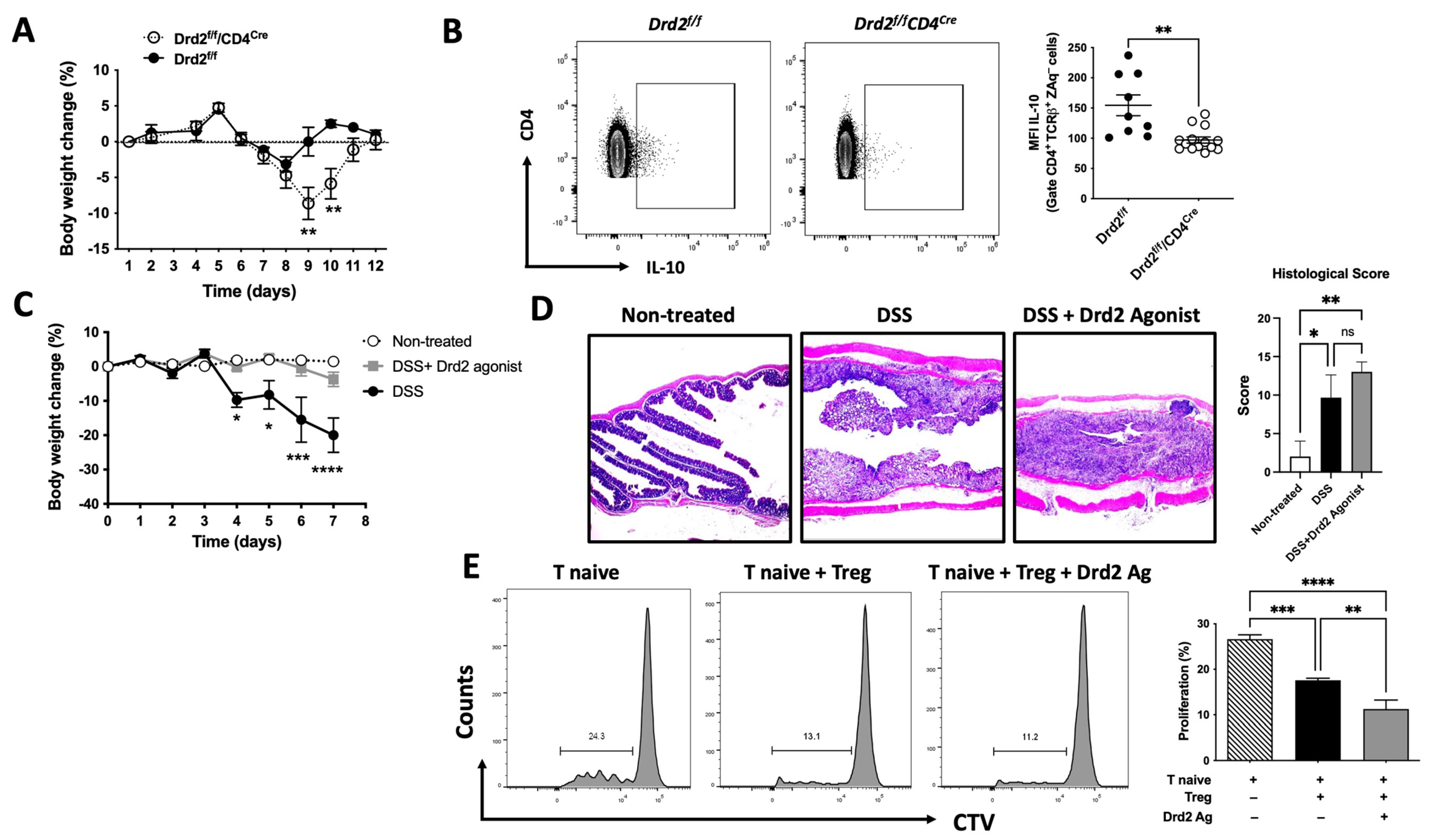 Ijms 26 10069 g001 Ijms 26 10069 g001