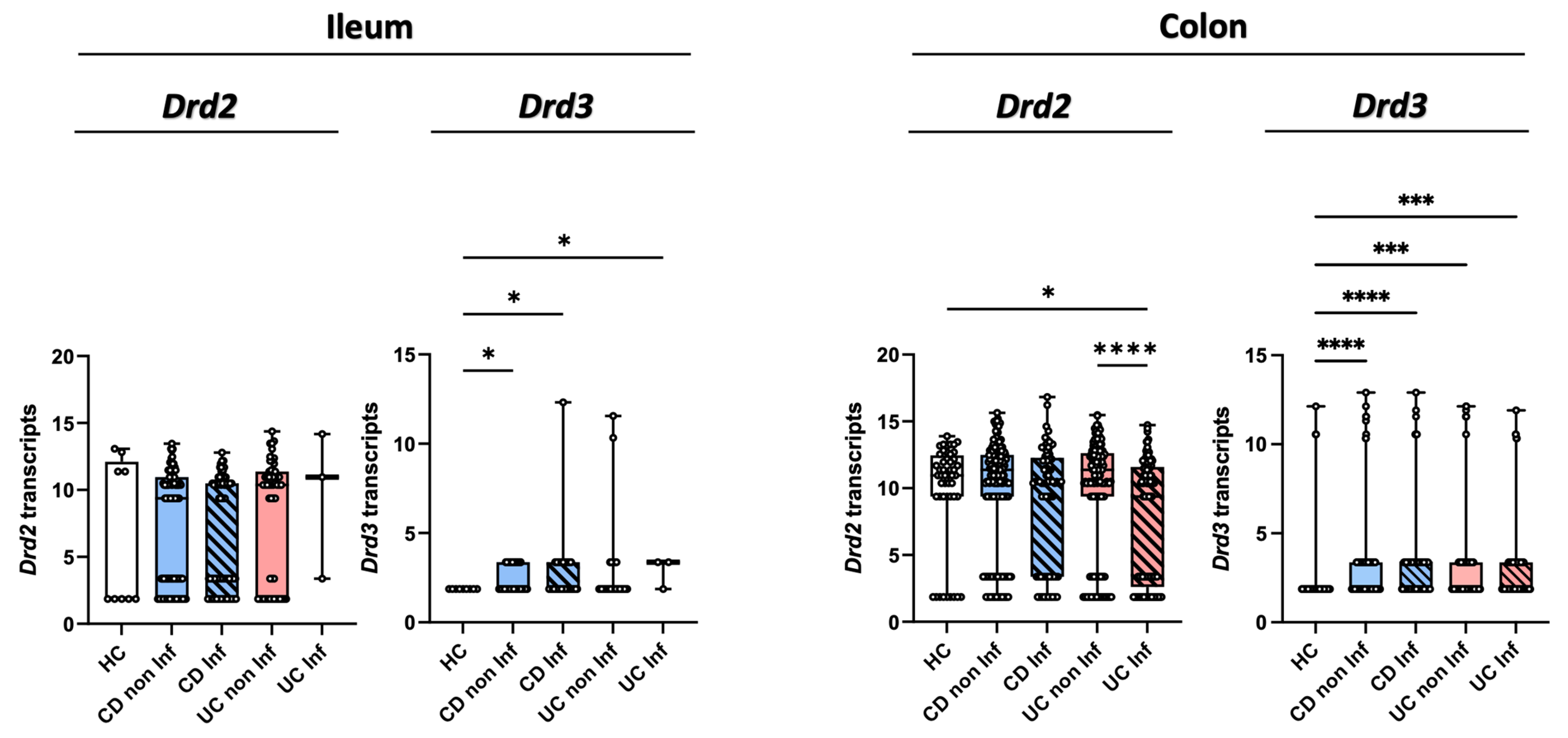 Ijms 26 10069 g003 Ijms 26 10069 g003
