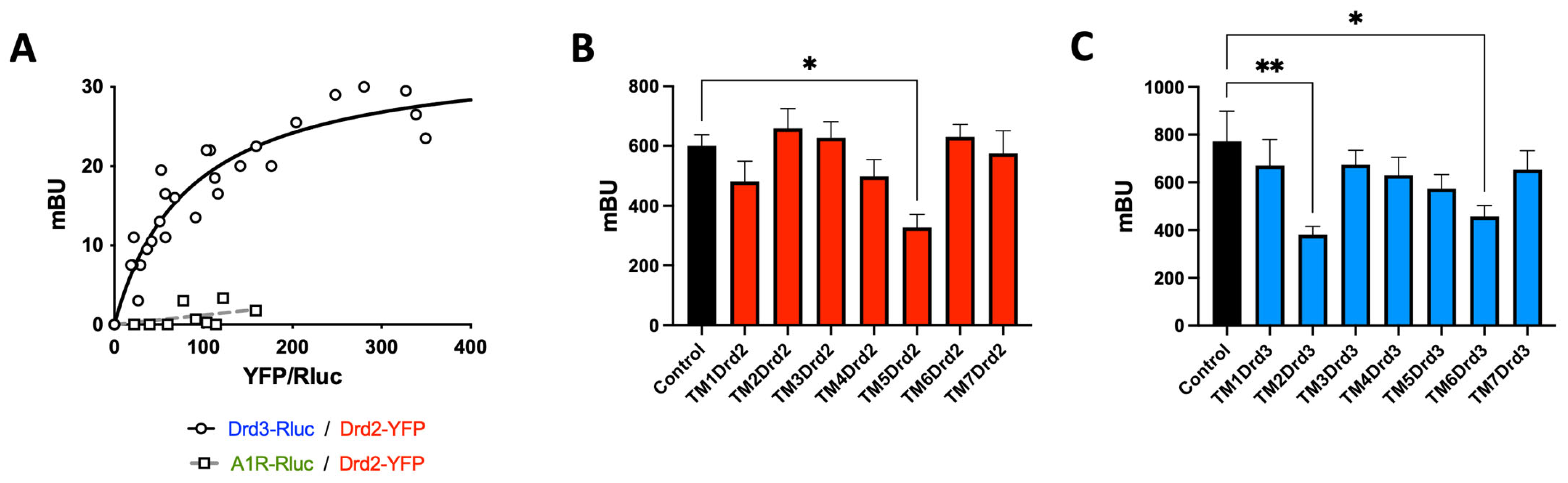 Ijms 26 10069 g004 Ijms 26 10069 g004
