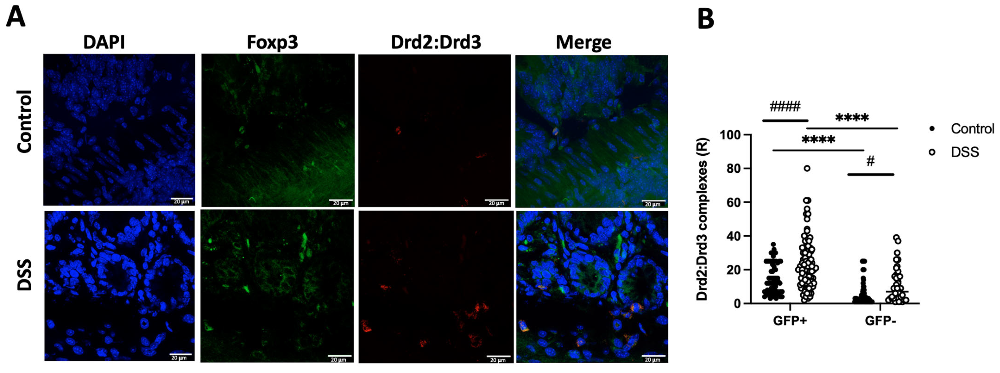 Ijms 26 10069 g005 Ijms 26 10069 g005