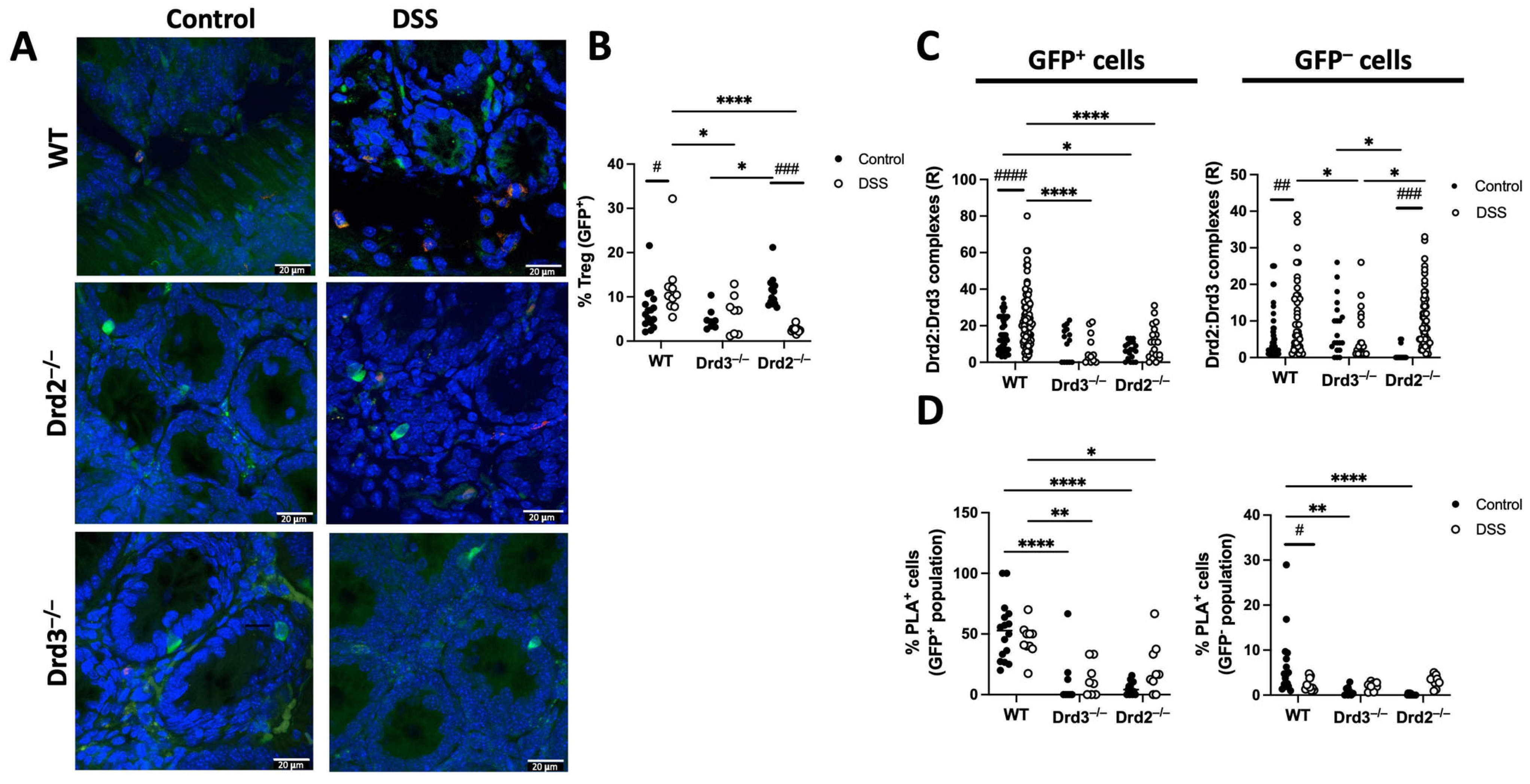 Ijms 26 10069 g006 Ijms 26 10069 g006
