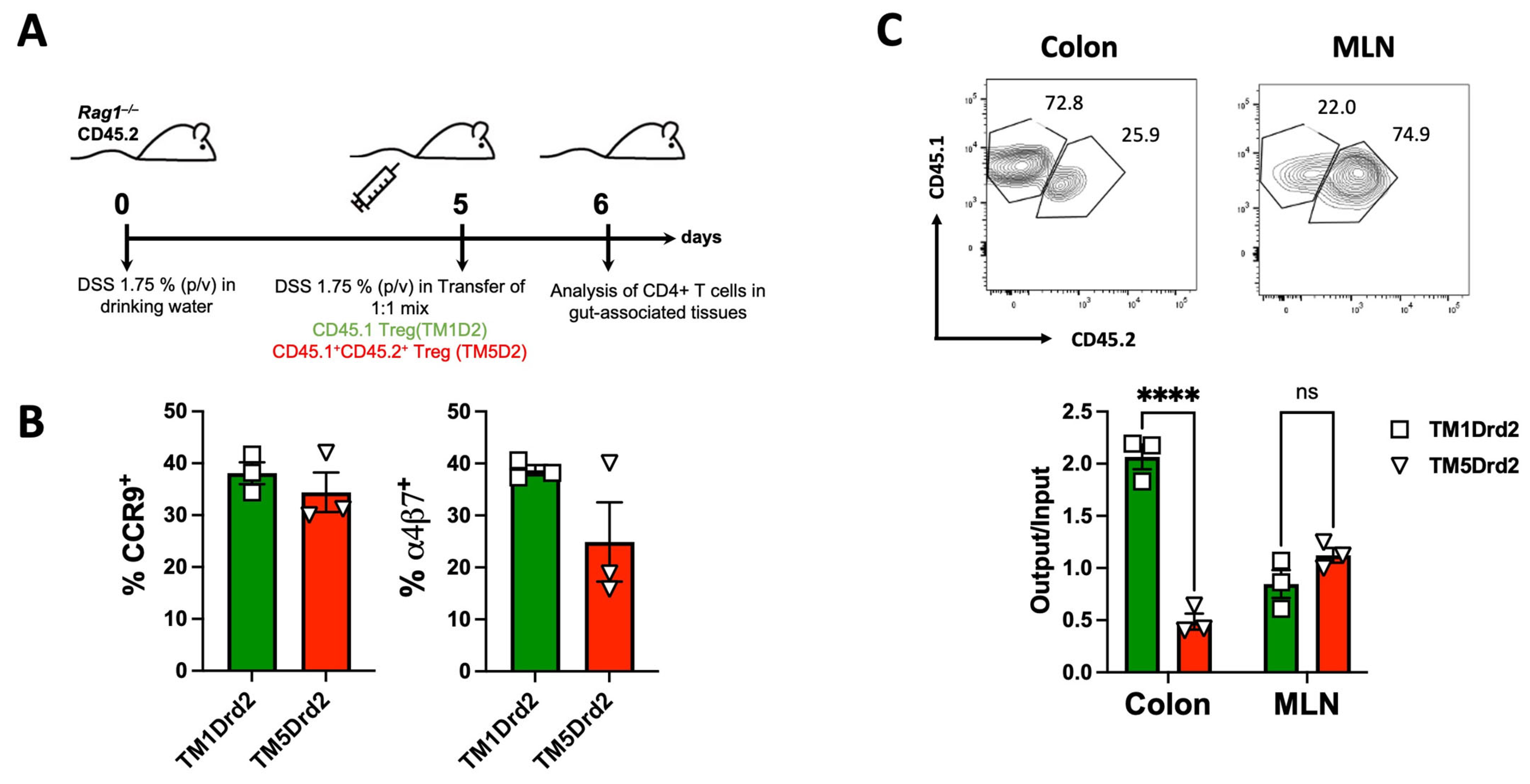 Ijms 26 10069 g008 Ijms 26 10069 g008