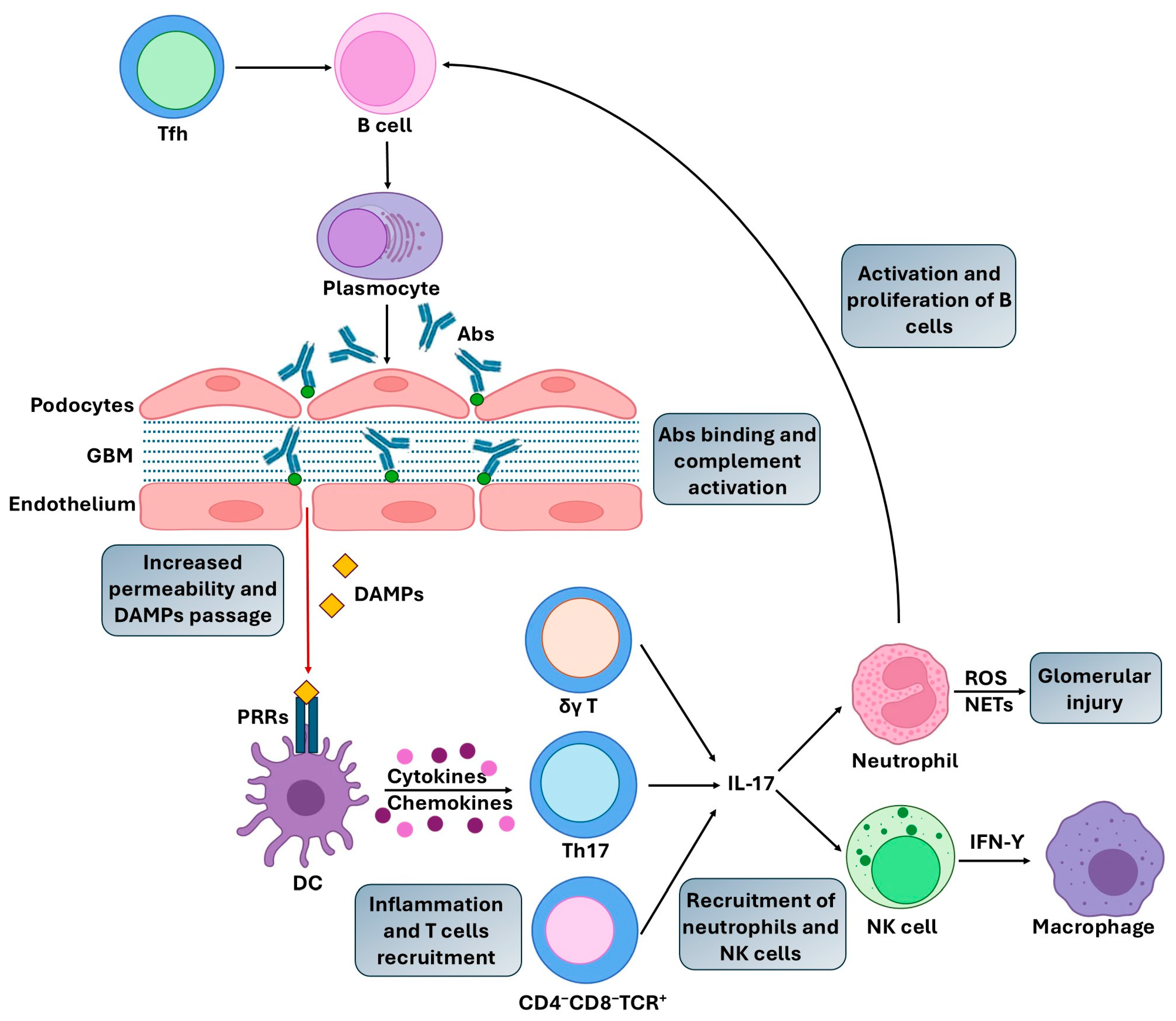 Ijms 26 10070 g001 Ijms 26 10070 g001