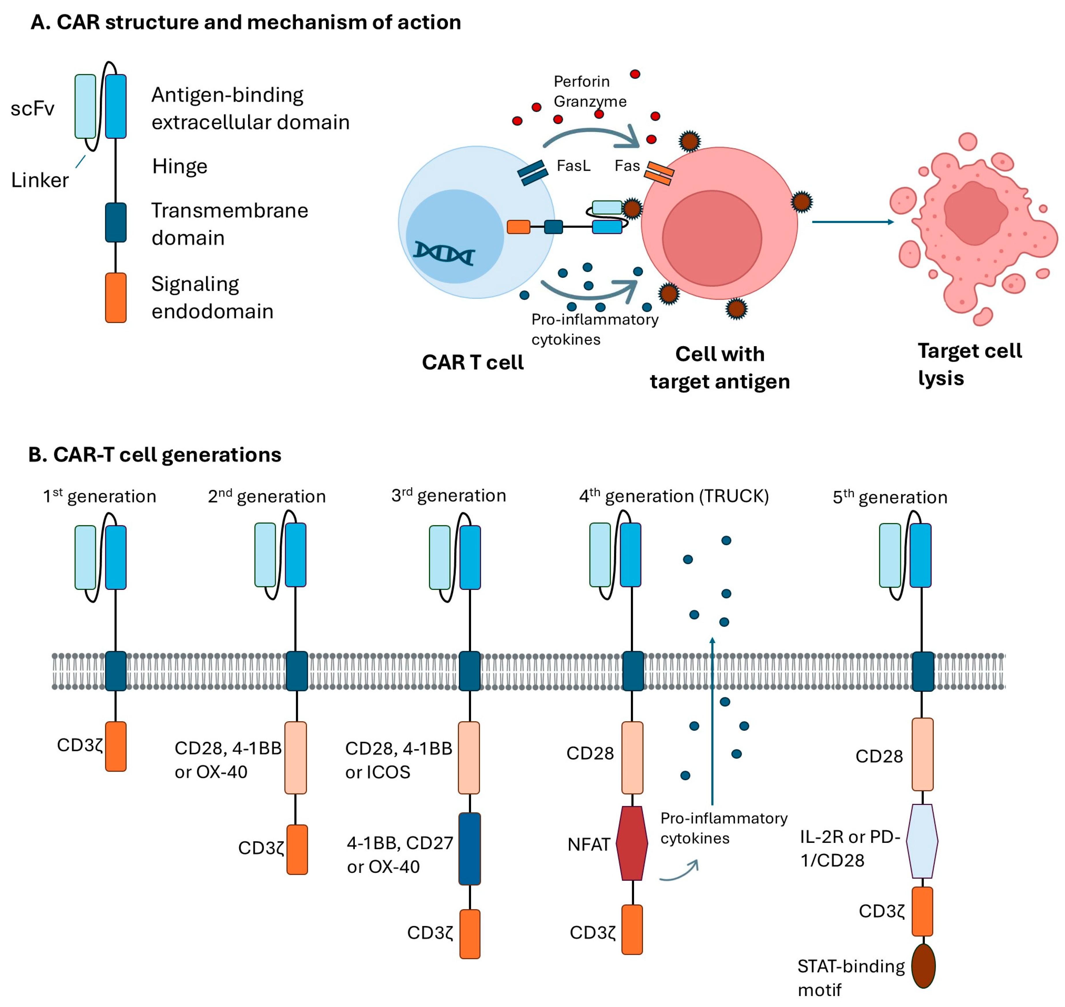Ijms 26 10070 g002 Ijms 26 10070 g002