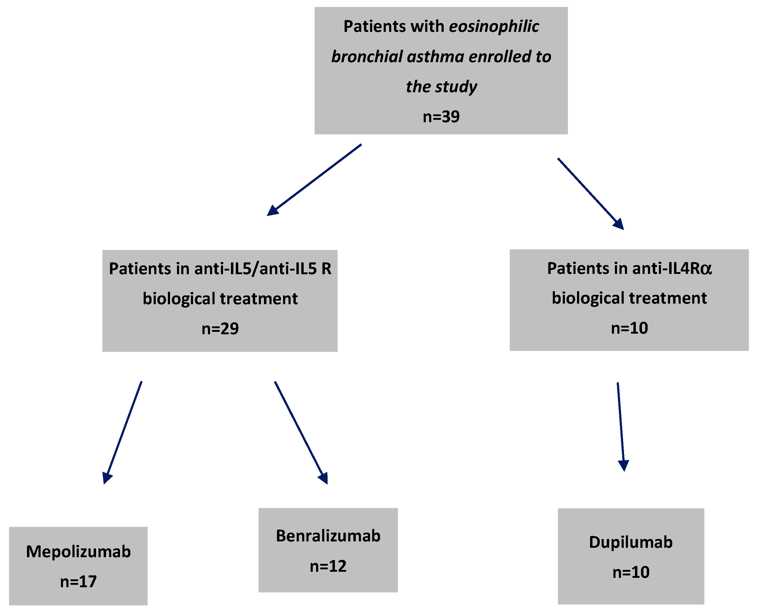 Ijms 26 10075 g001 Ijms 26 10075 g001