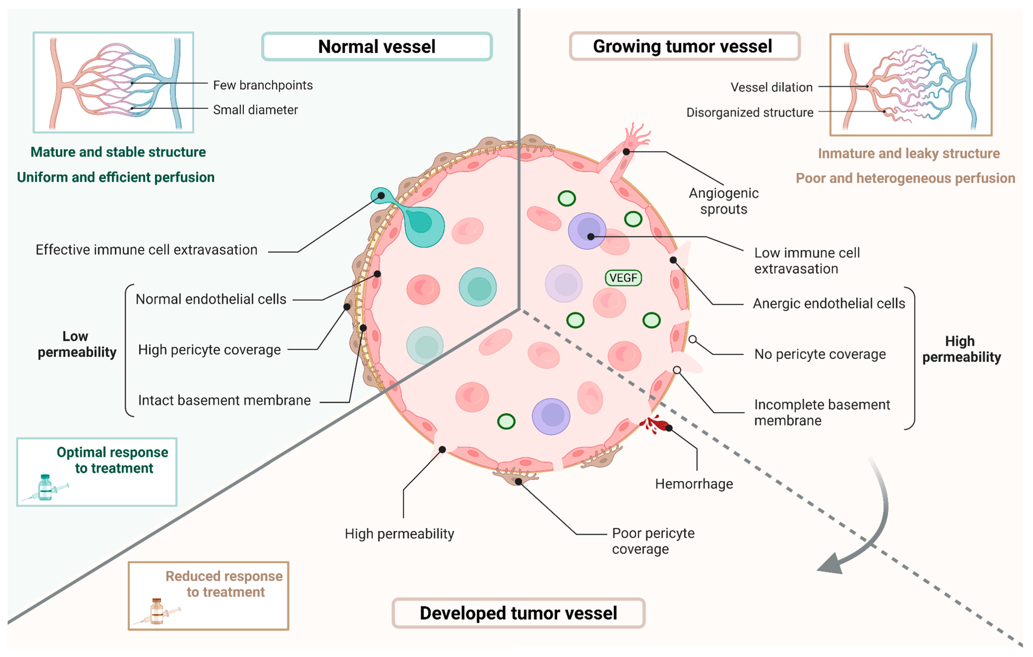Ijms 26 10085 g002 Ijms 26 10085 g002