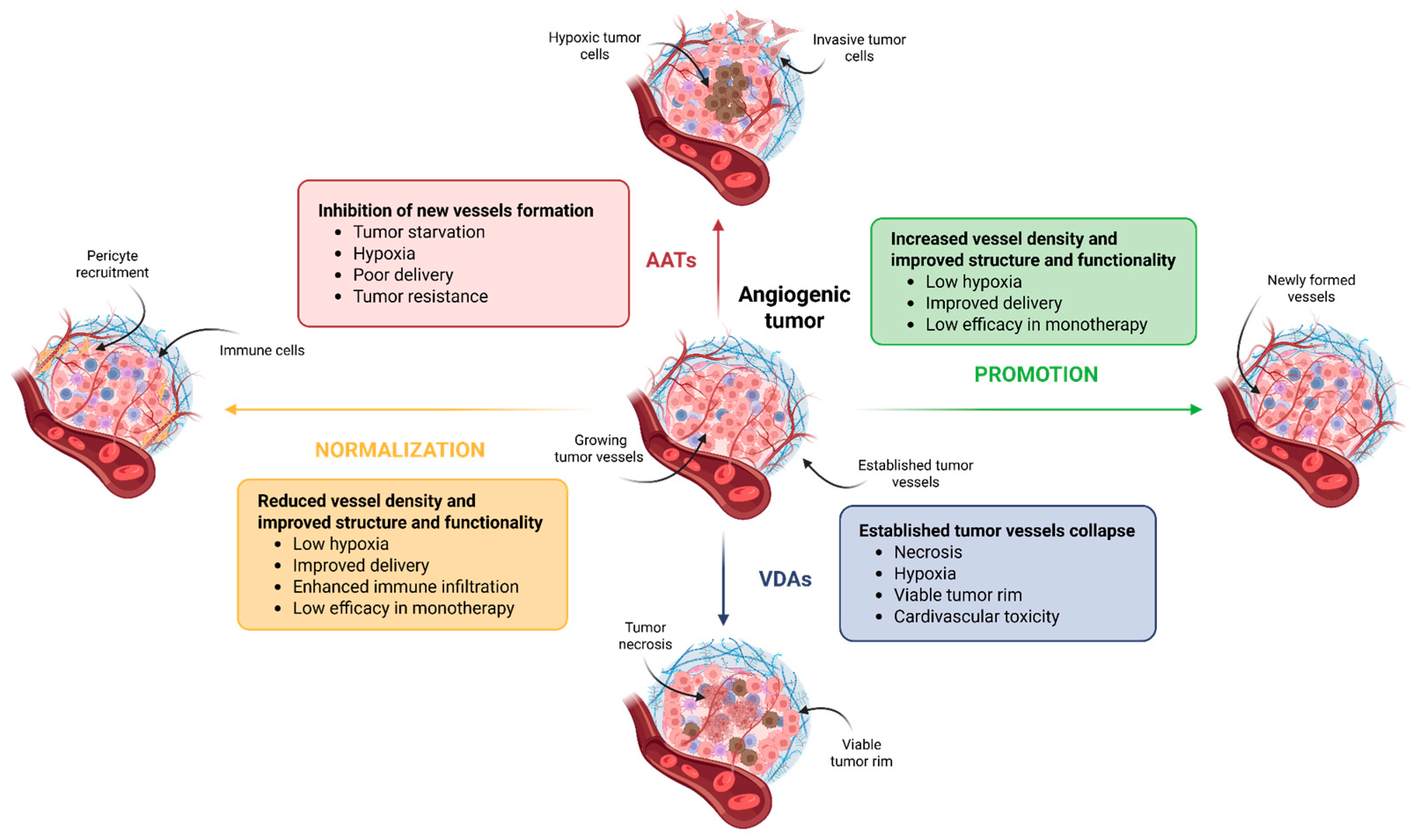 Ijms 26 10085 g003 Ijms 26 10085 g003