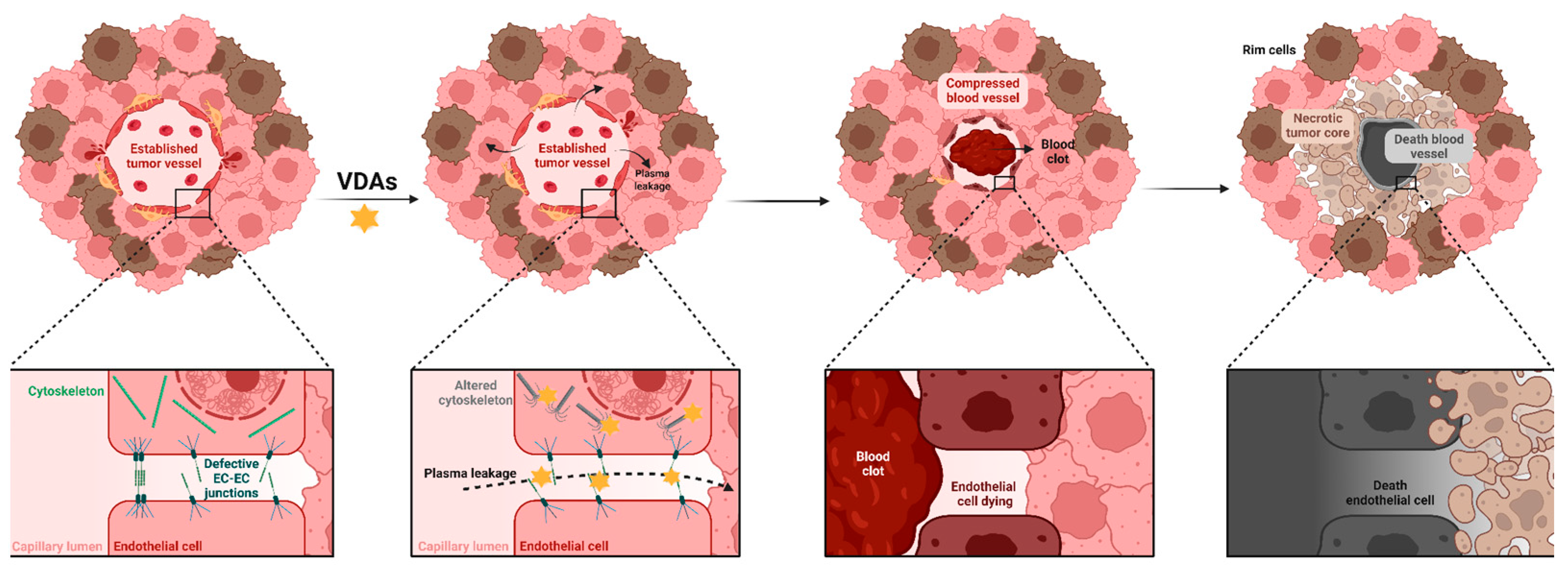 Ijms 26 10085 g004 Ijms 26 10085 g004