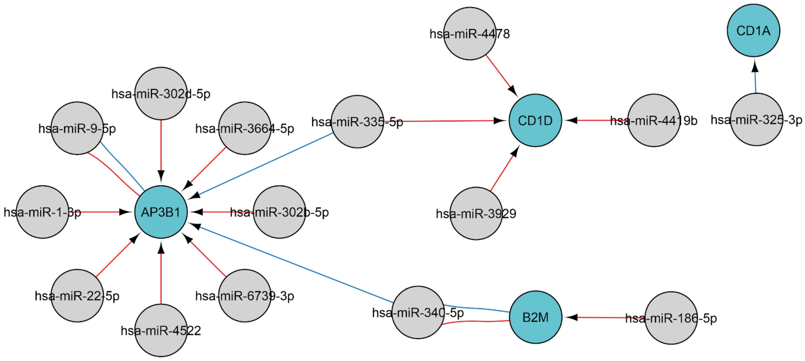 Ijms 26 10100 g006 Ijms 26 10100 g006