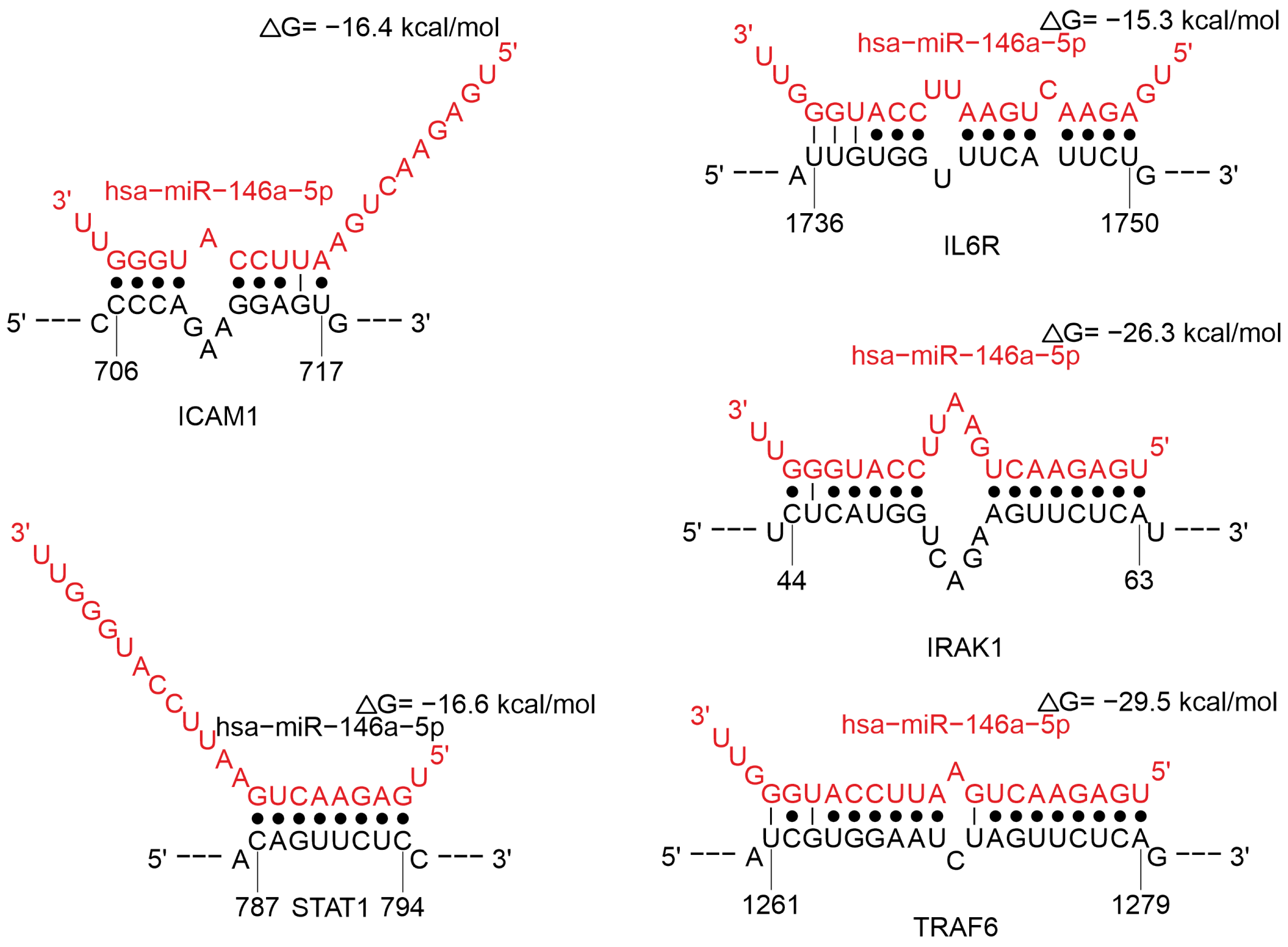 Ijms 26 10100 g012 Ijms 26 10100 g012