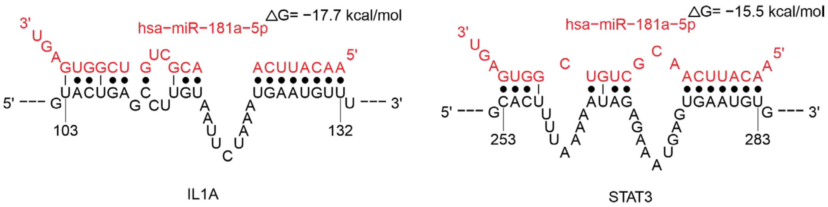 Ijms 26 10100 g013 Ijms 26 10100 g013