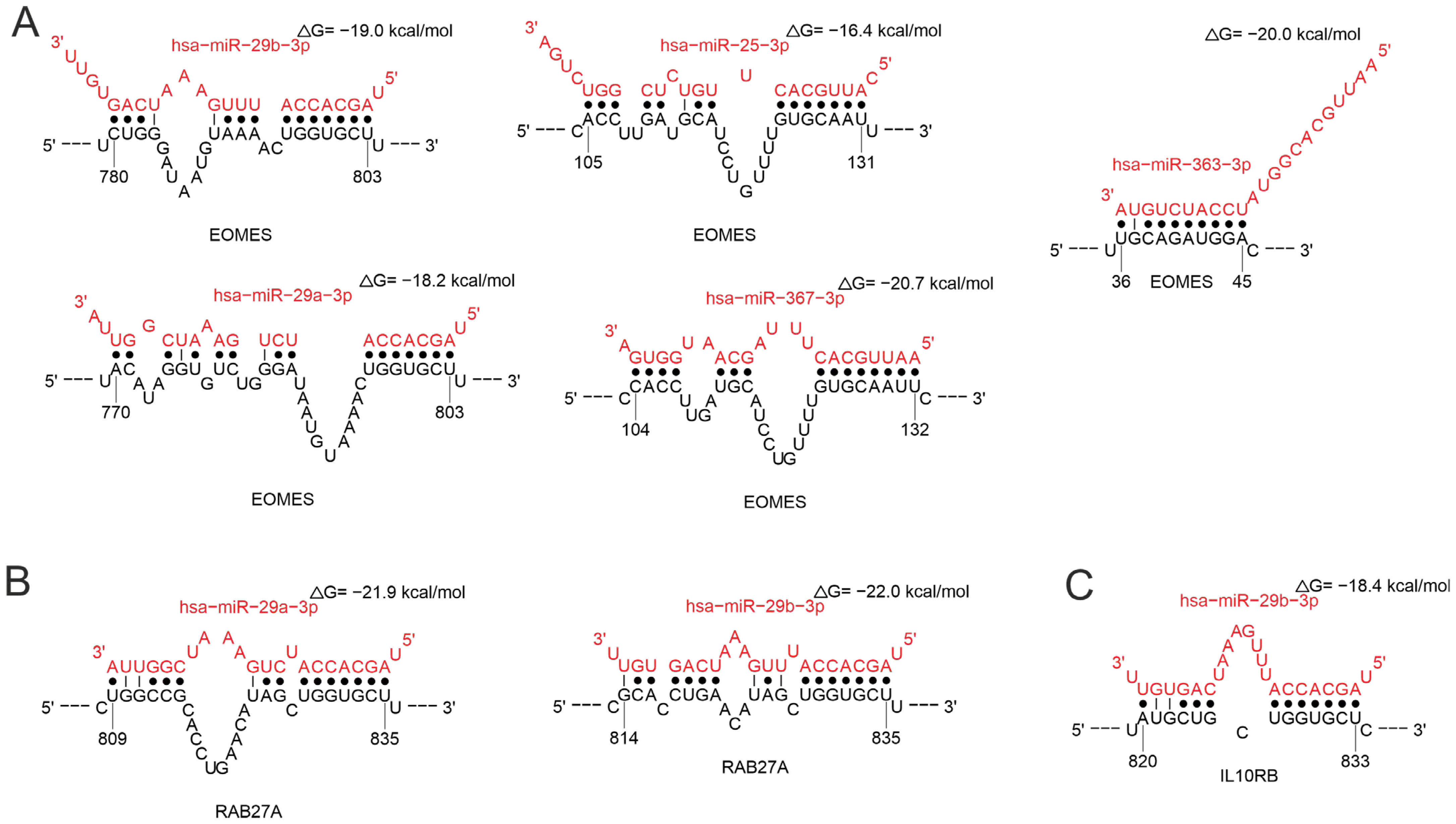 Ijms 26 10100 g014 Ijms 26 10100 g014