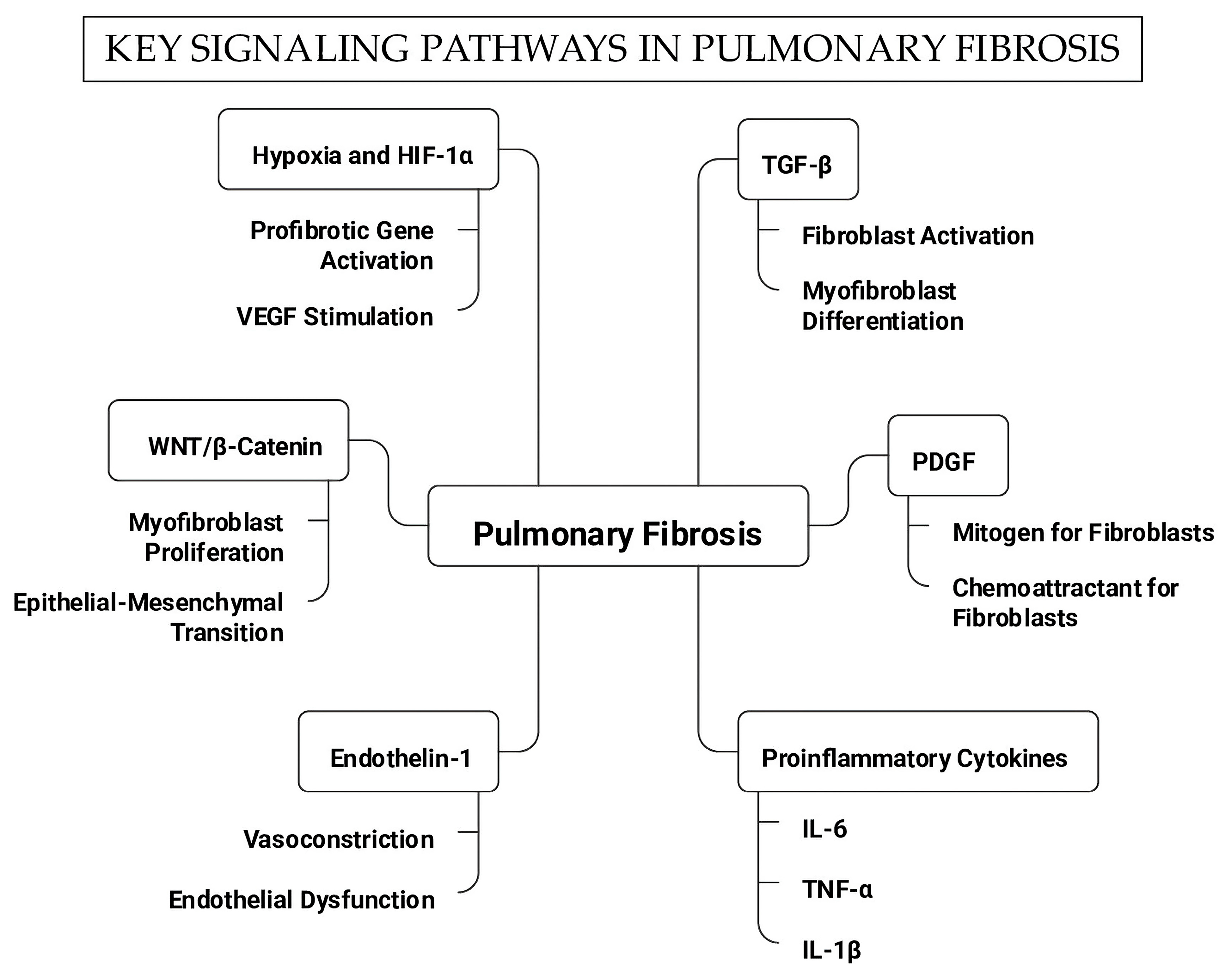 Ijms 26 10103 g002 Ijms 26 10103 g002