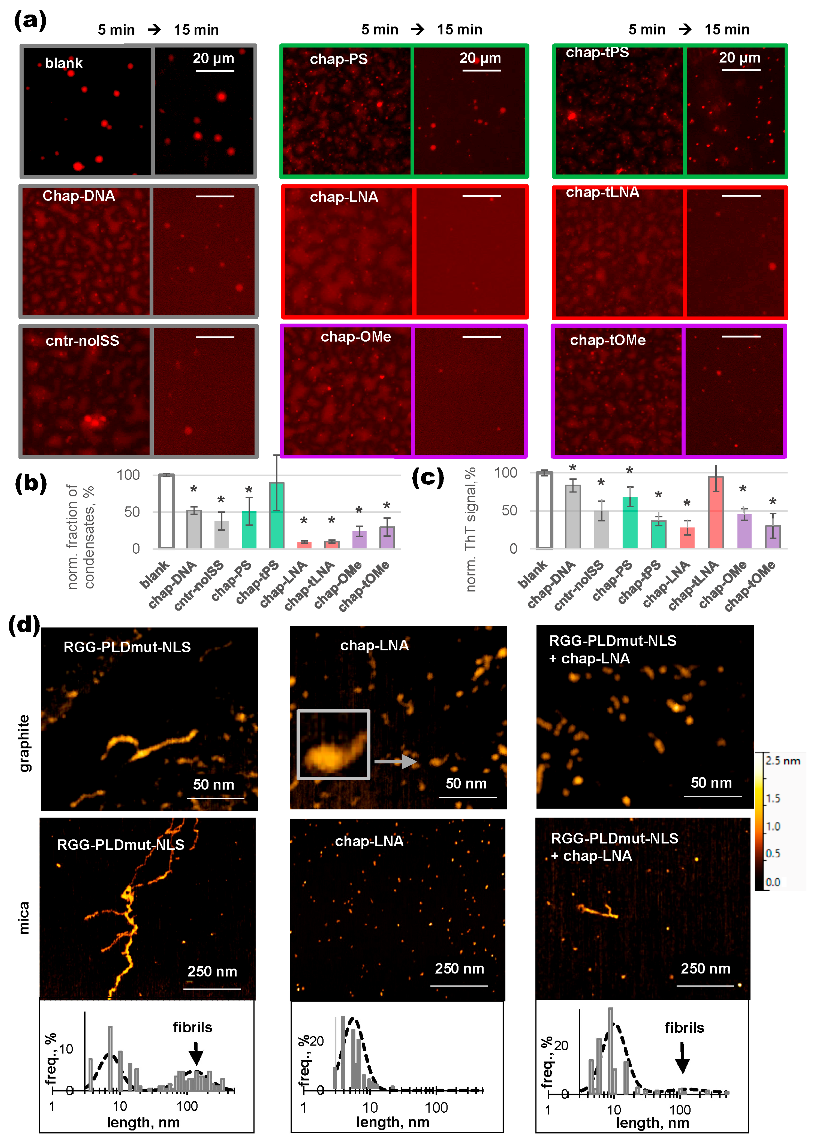 Ijms 26 10104 g003 Ijms 26 10104 g003
