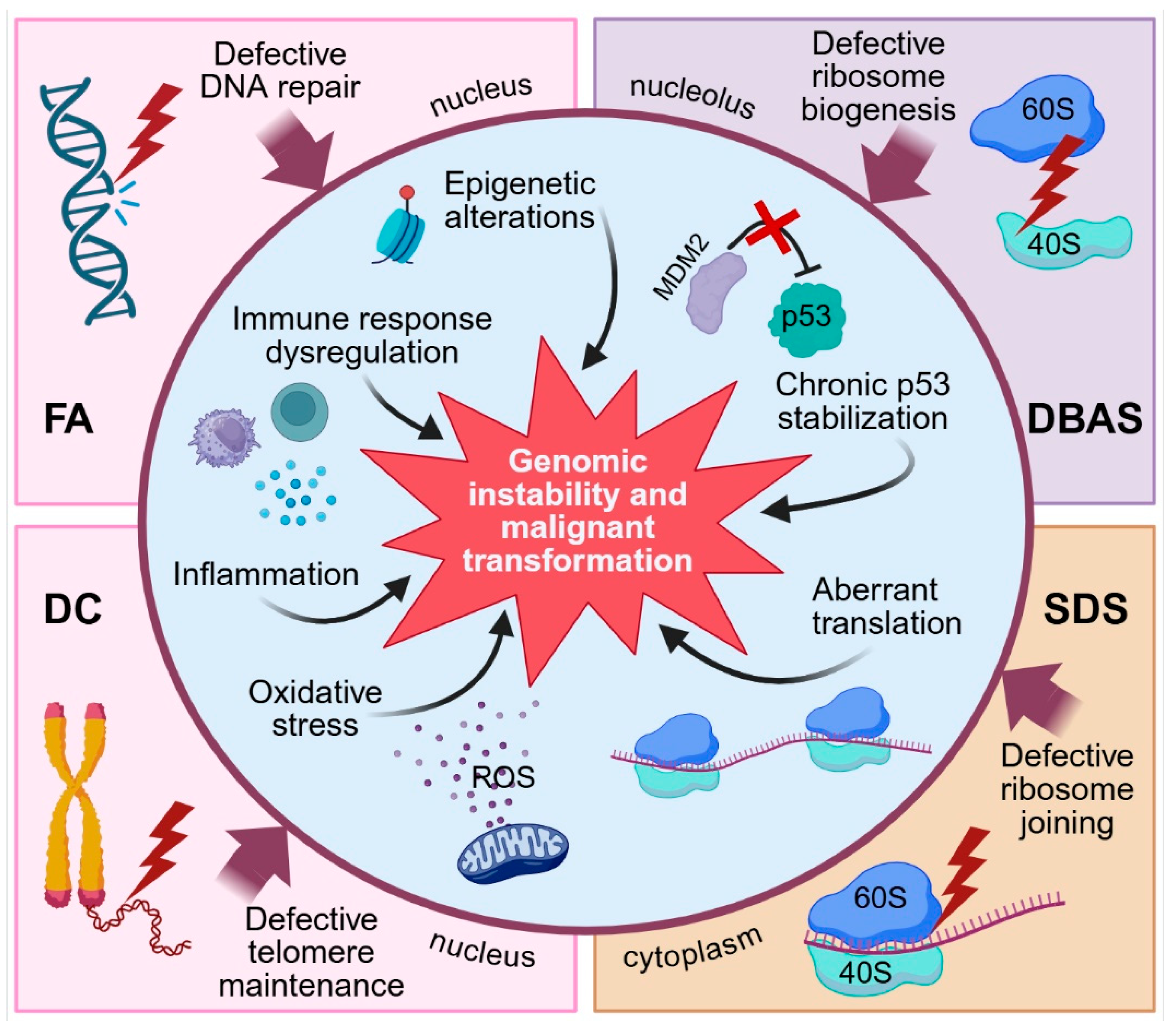 Ijms 26 10105 g001 Ijms 26 10105 g001