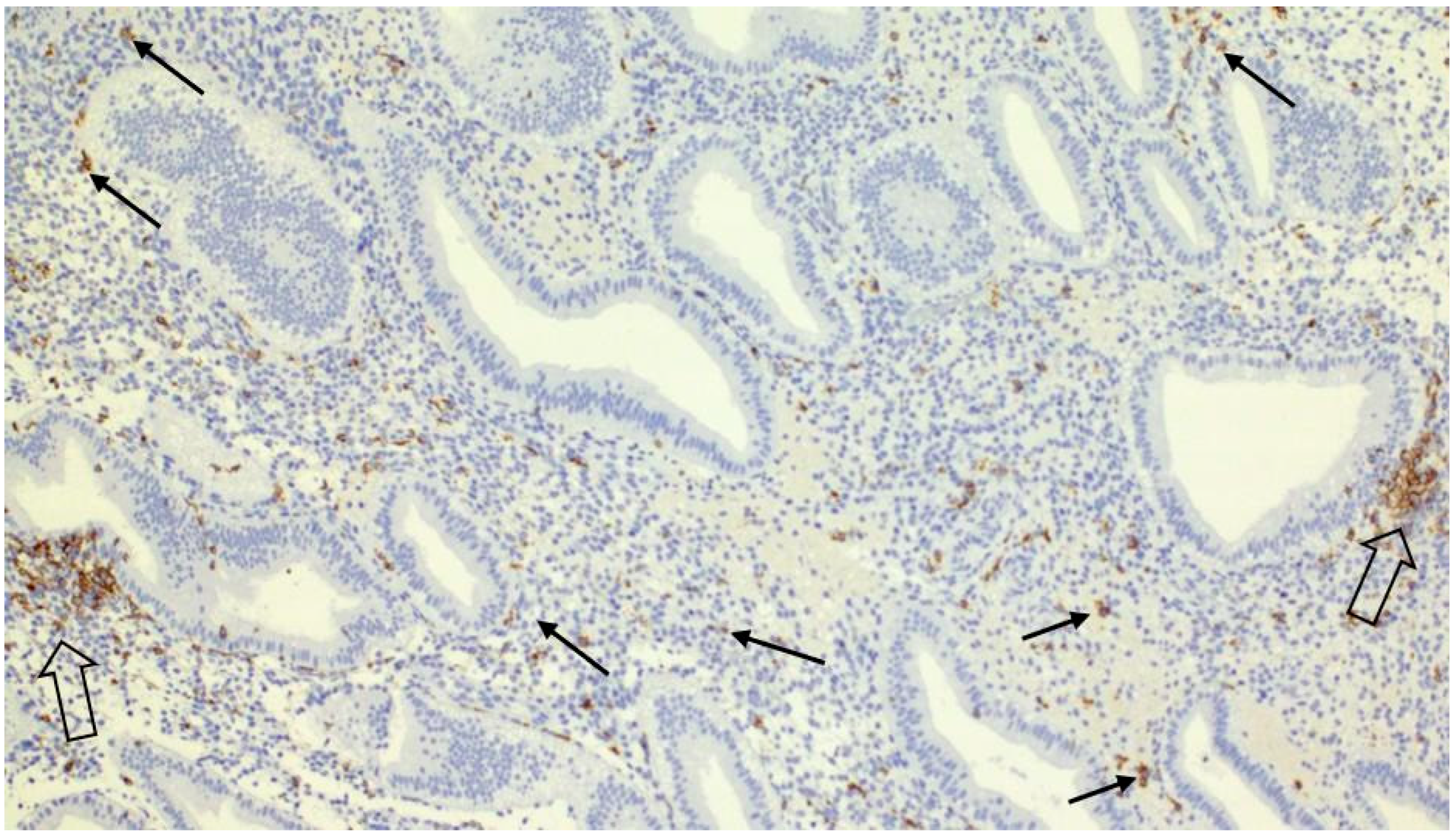 Ijms 26 10109 g001 Ijms 26 10109 g001