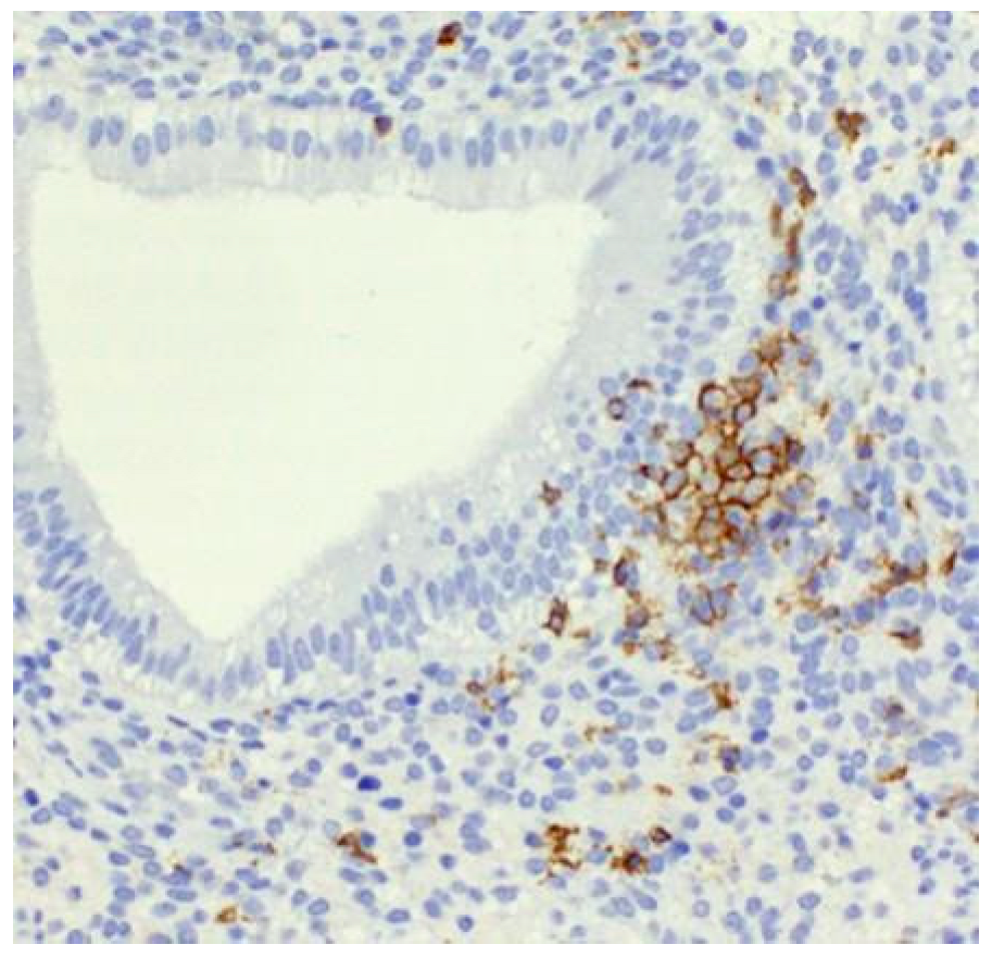 Ijms 26 10109 g002 Ijms 26 10109 g002