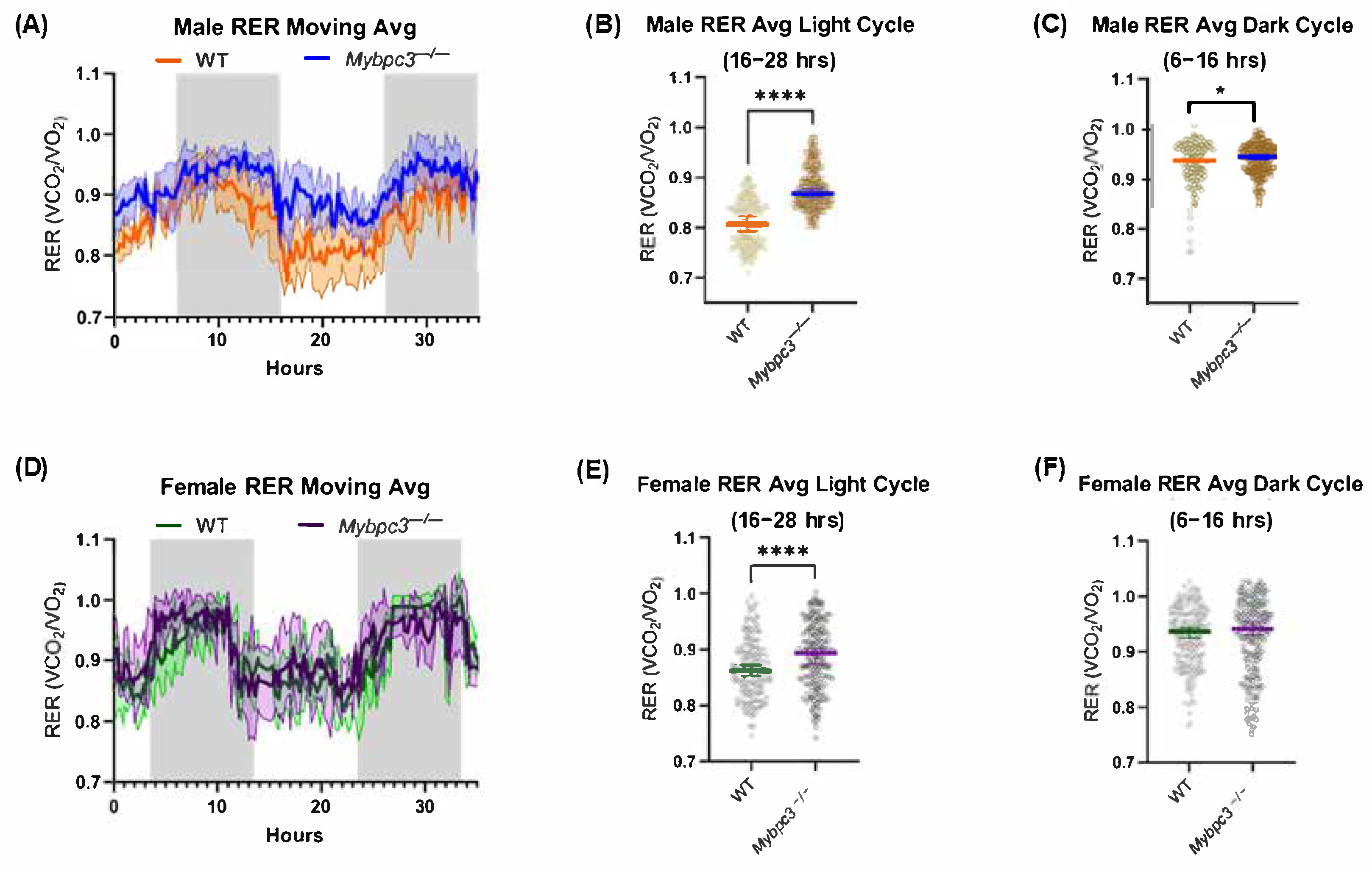Ijms 26 10111 g001 Ijms 26 10111 g001