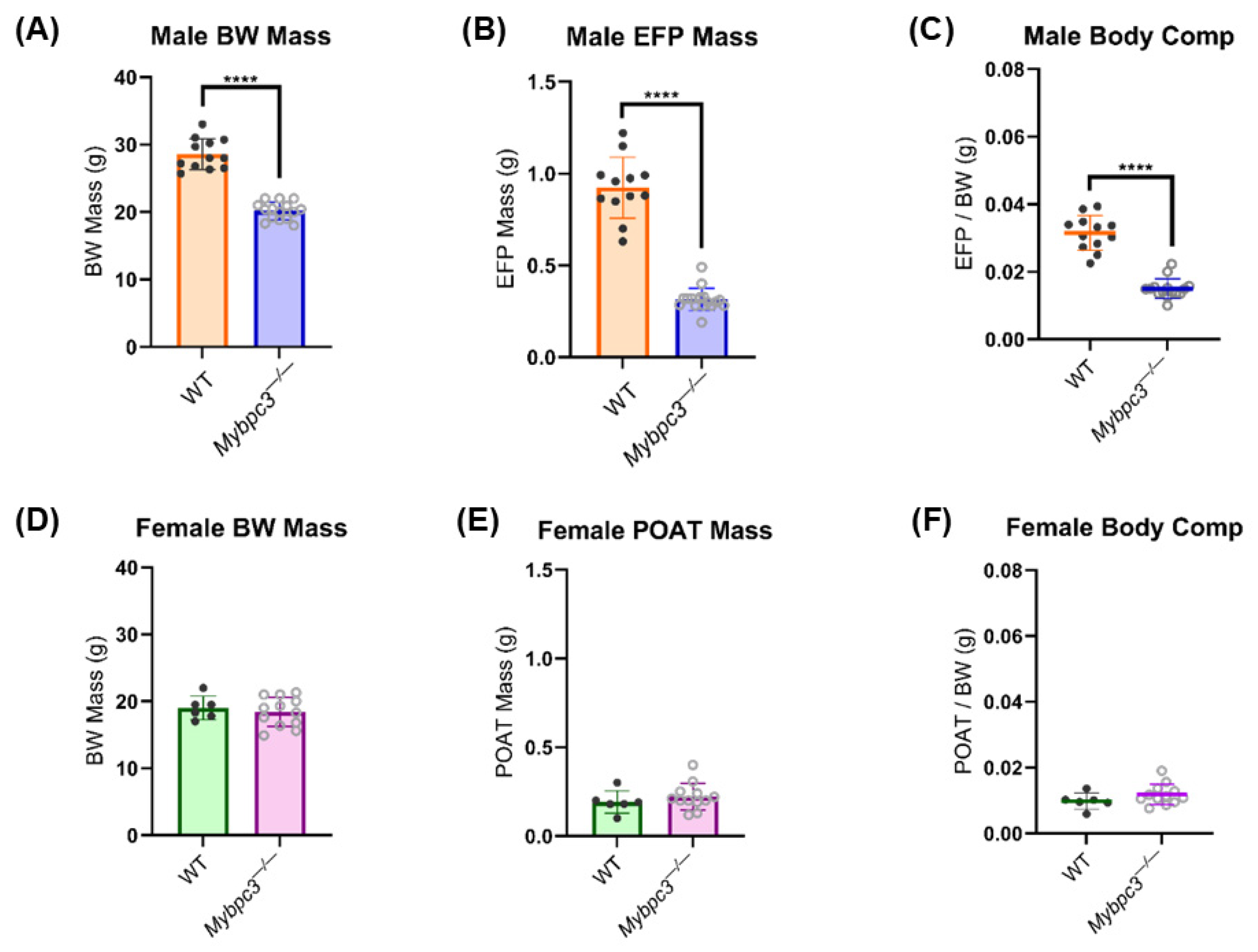 Ijms 26 10111 g002 Ijms 26 10111 g002