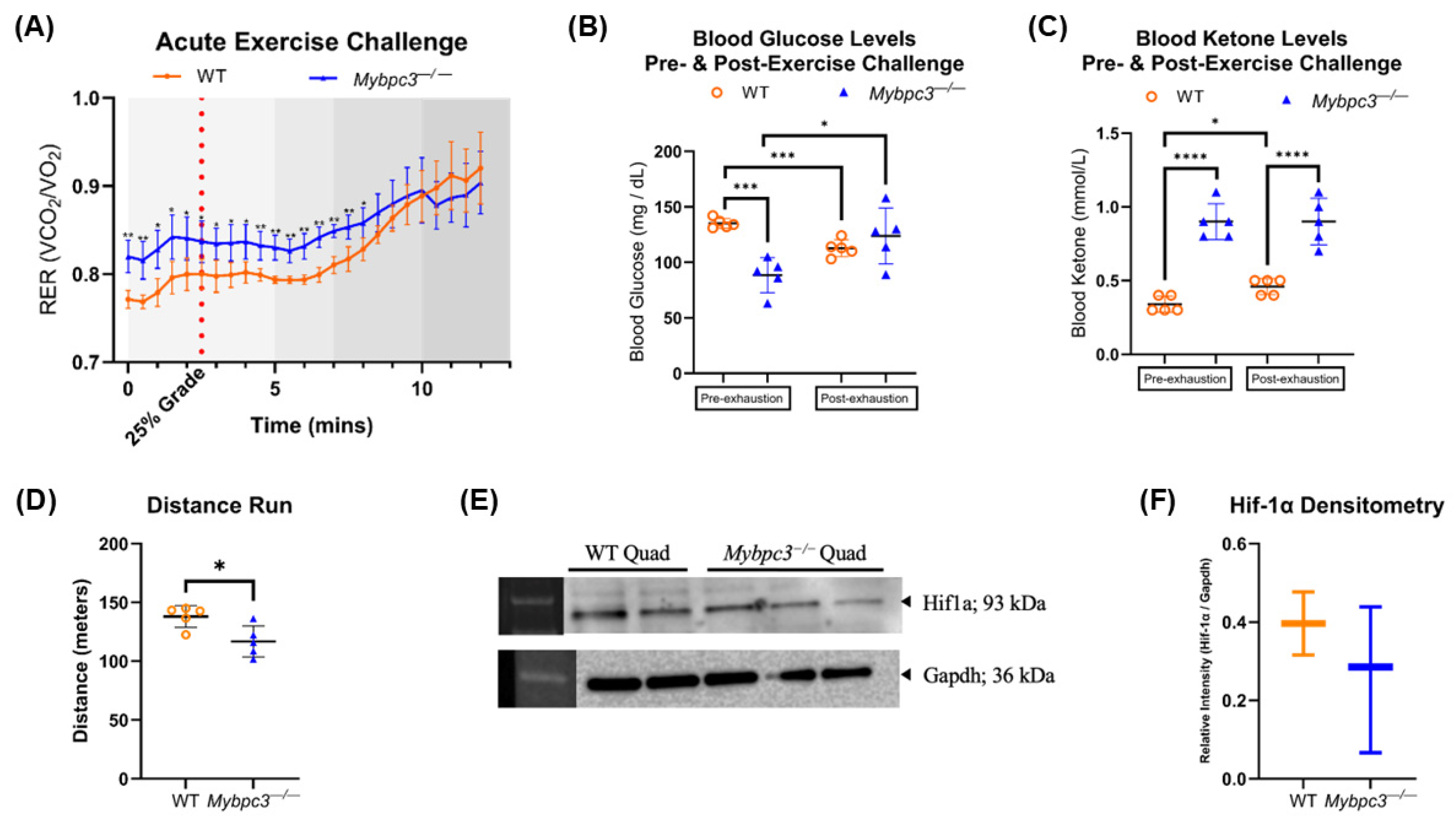 Ijms 26 10111 g006 Ijms 26 10111 g006