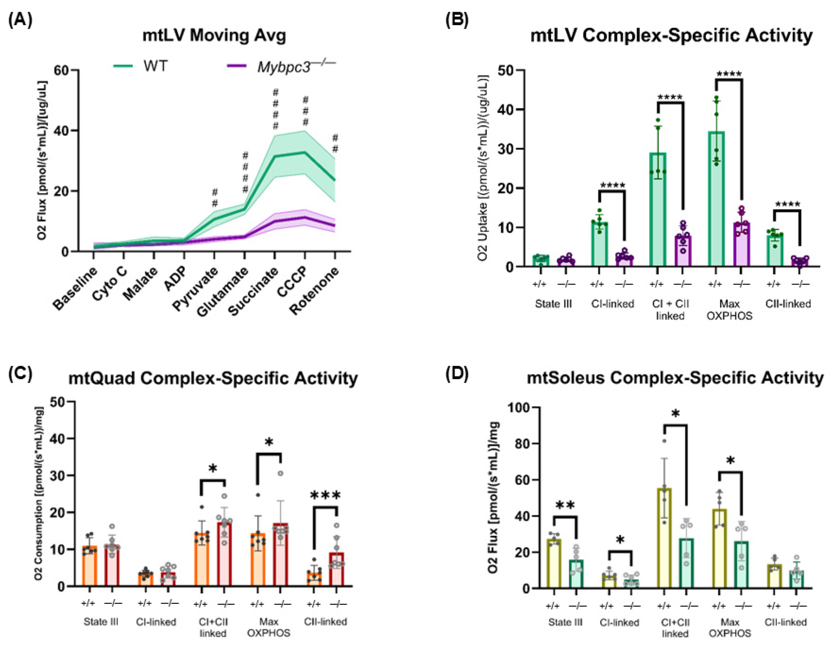 Ijms 26 10111 g007 Ijms 26 10111 g007
