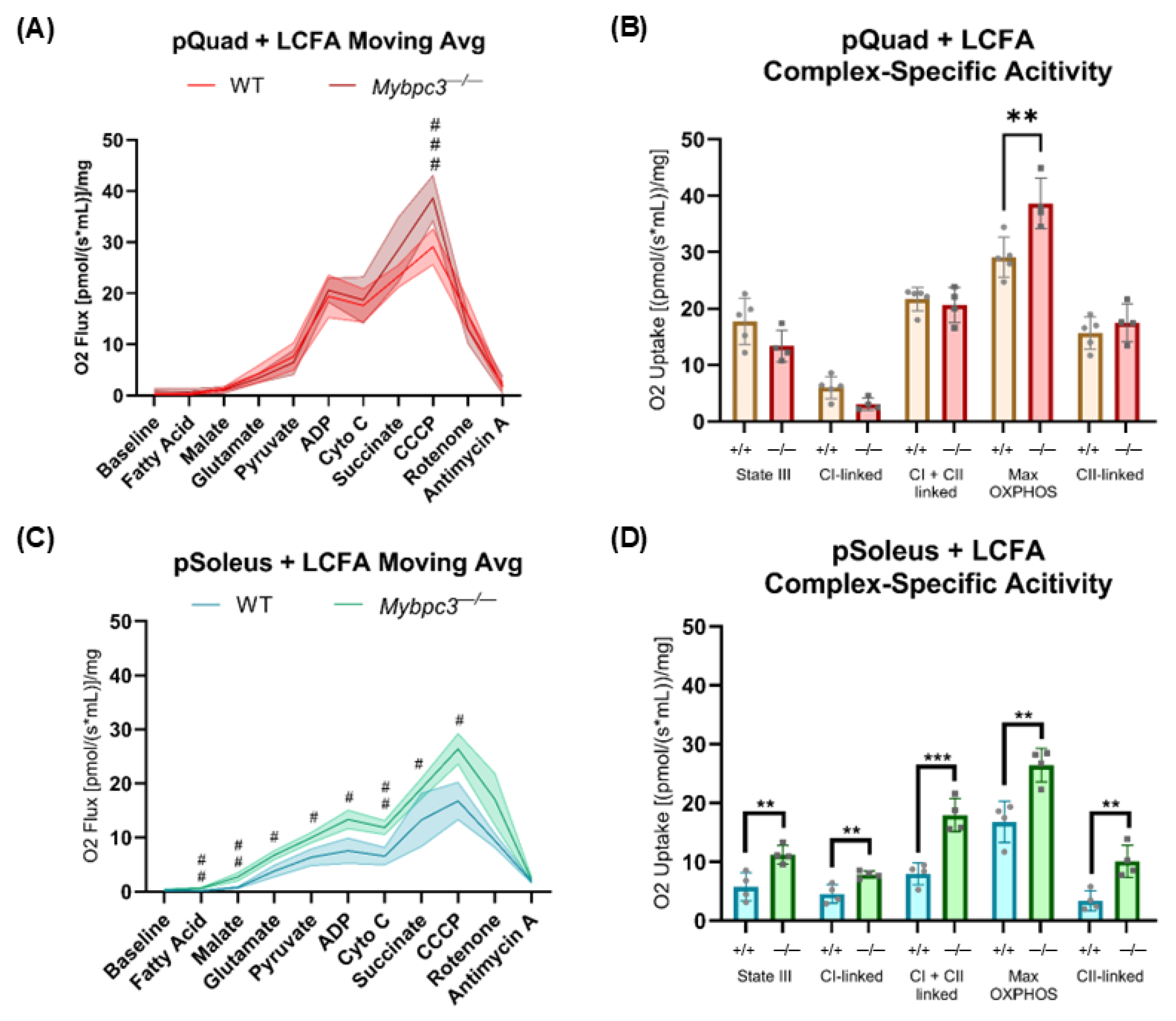 Ijms 26 10111 g008 Ijms 26 10111 g008