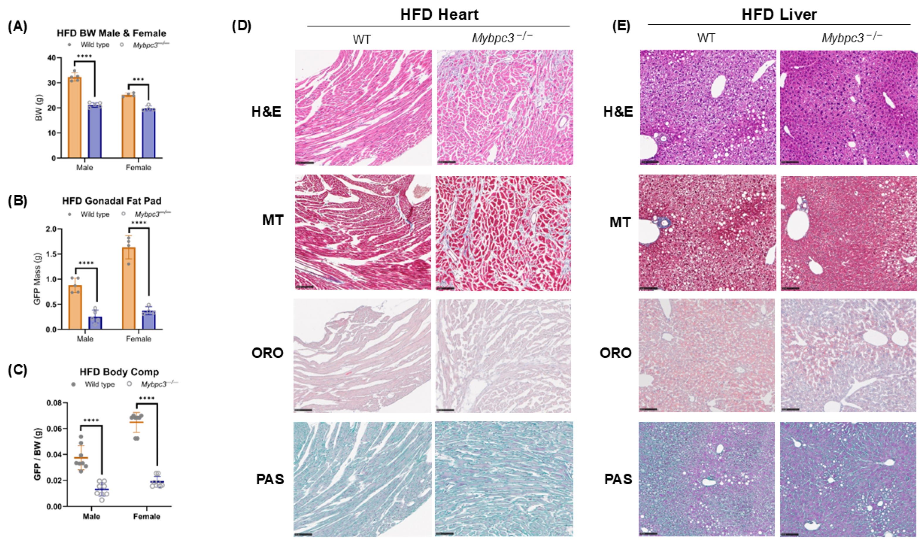 Ijms 26 10111 g009 Ijms 26 10111 g009