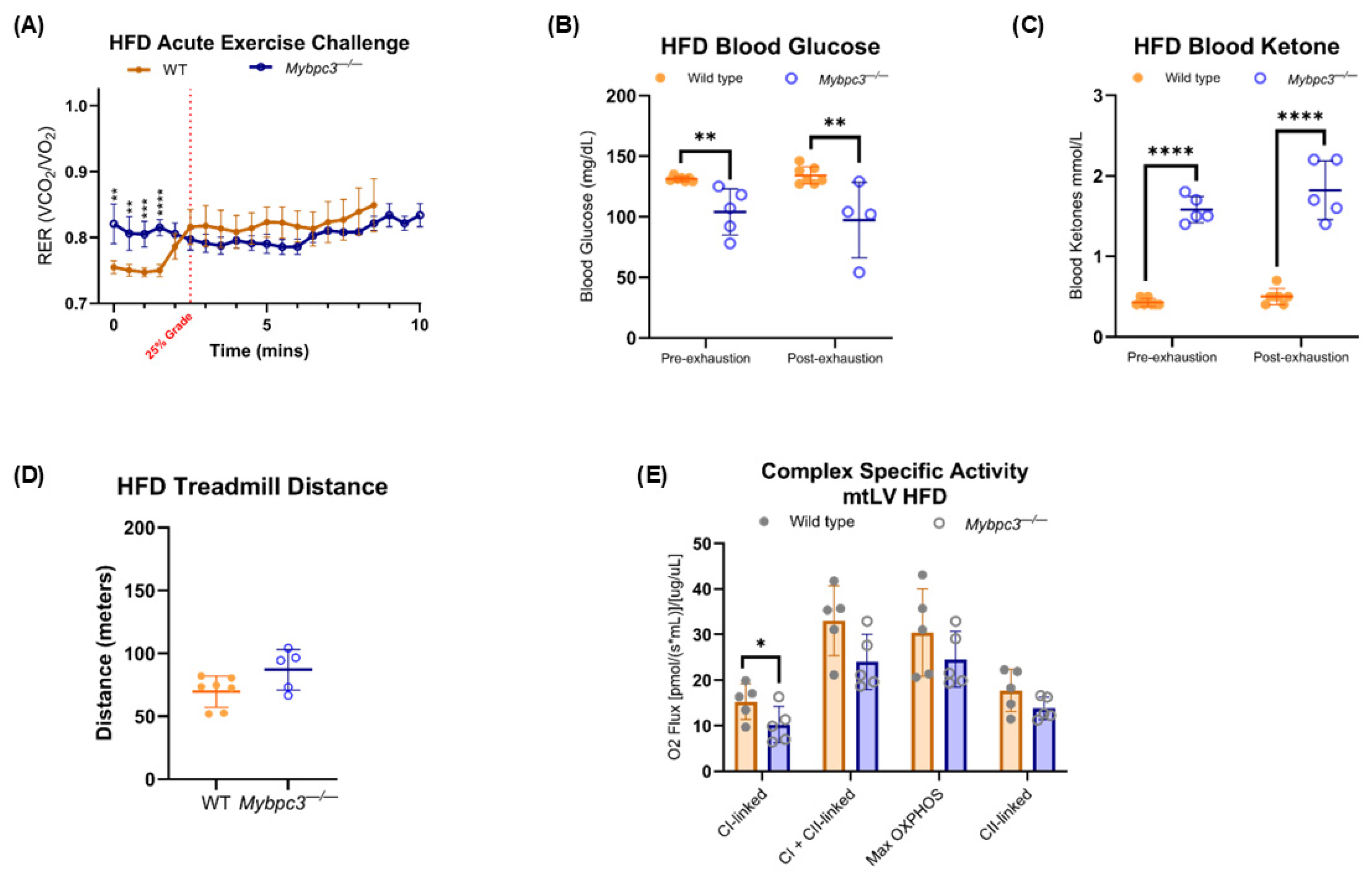 Ijms 26 10111 g010 Ijms 26 10111 g010