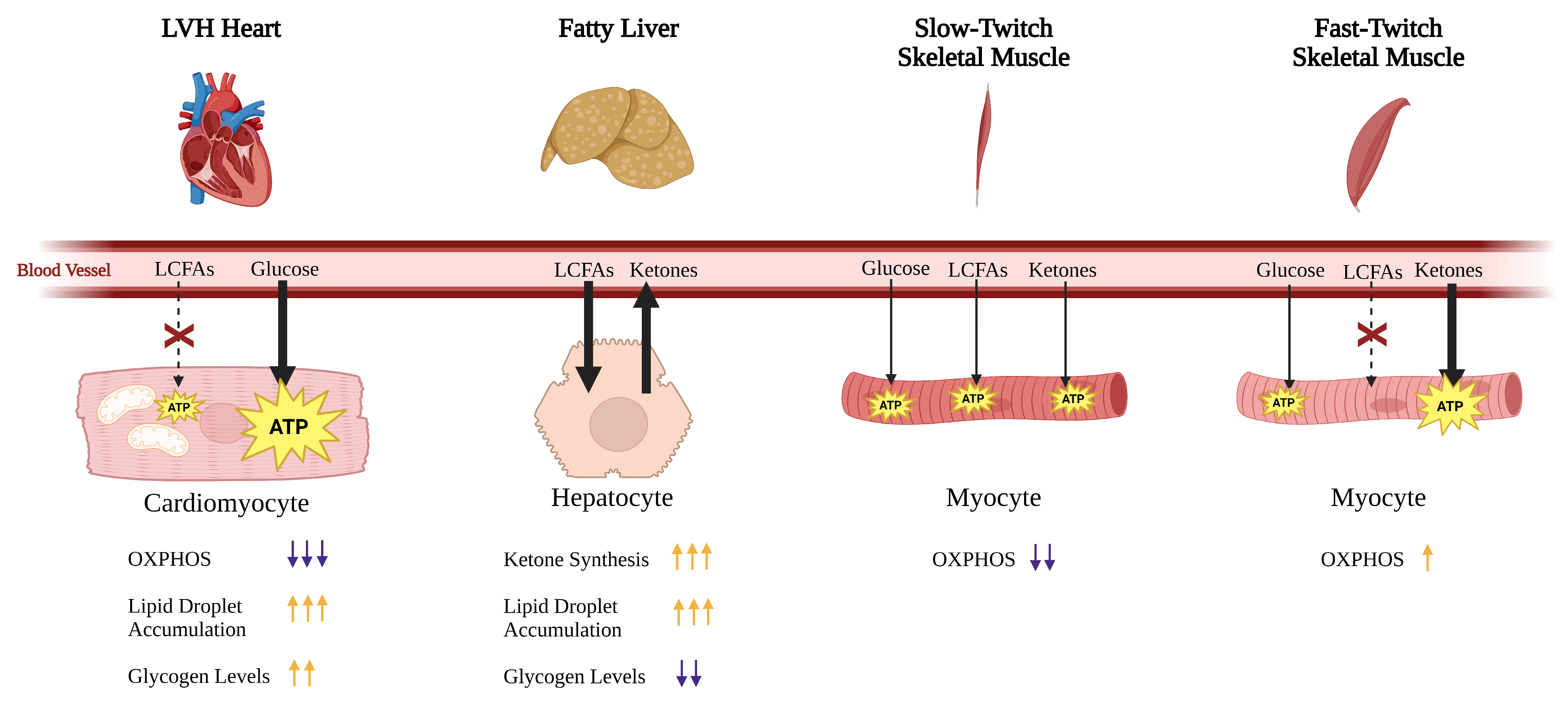 Ijms 26 10111 g011 Ijms 26 10111 g011