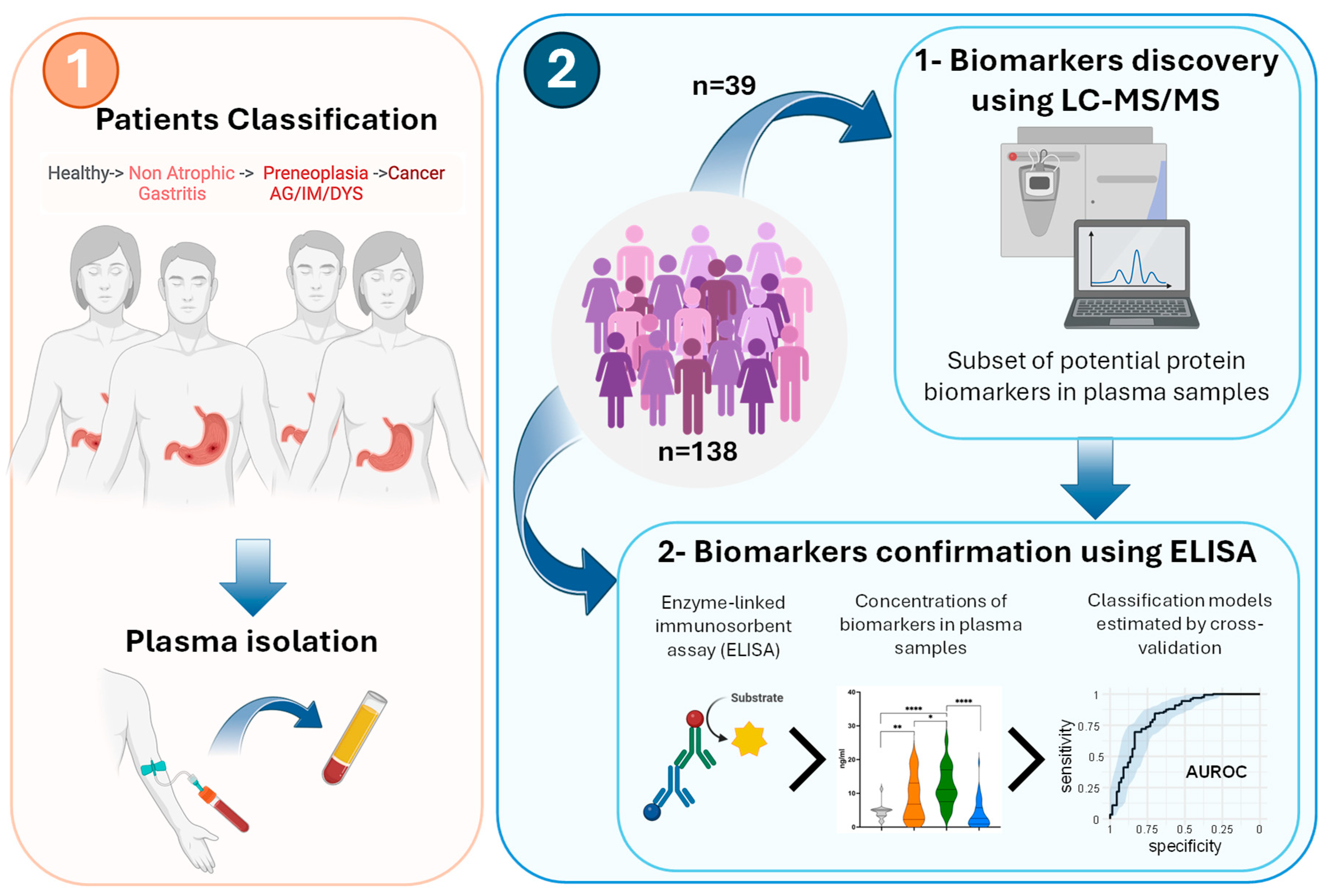Ijms 26 10114 g001 Ijms 26 10114 g001