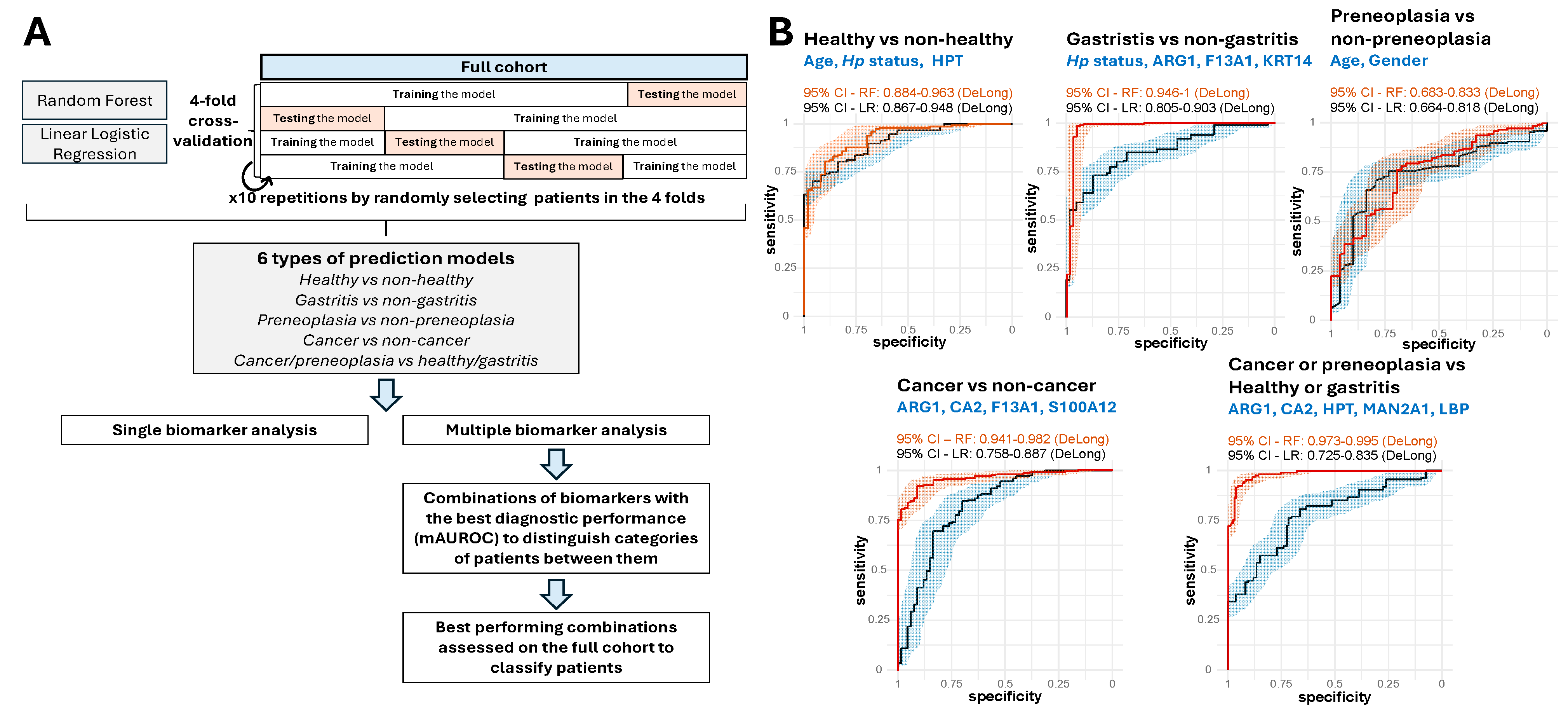 Ijms 26 10114 g006 Ijms 26 10114 g006