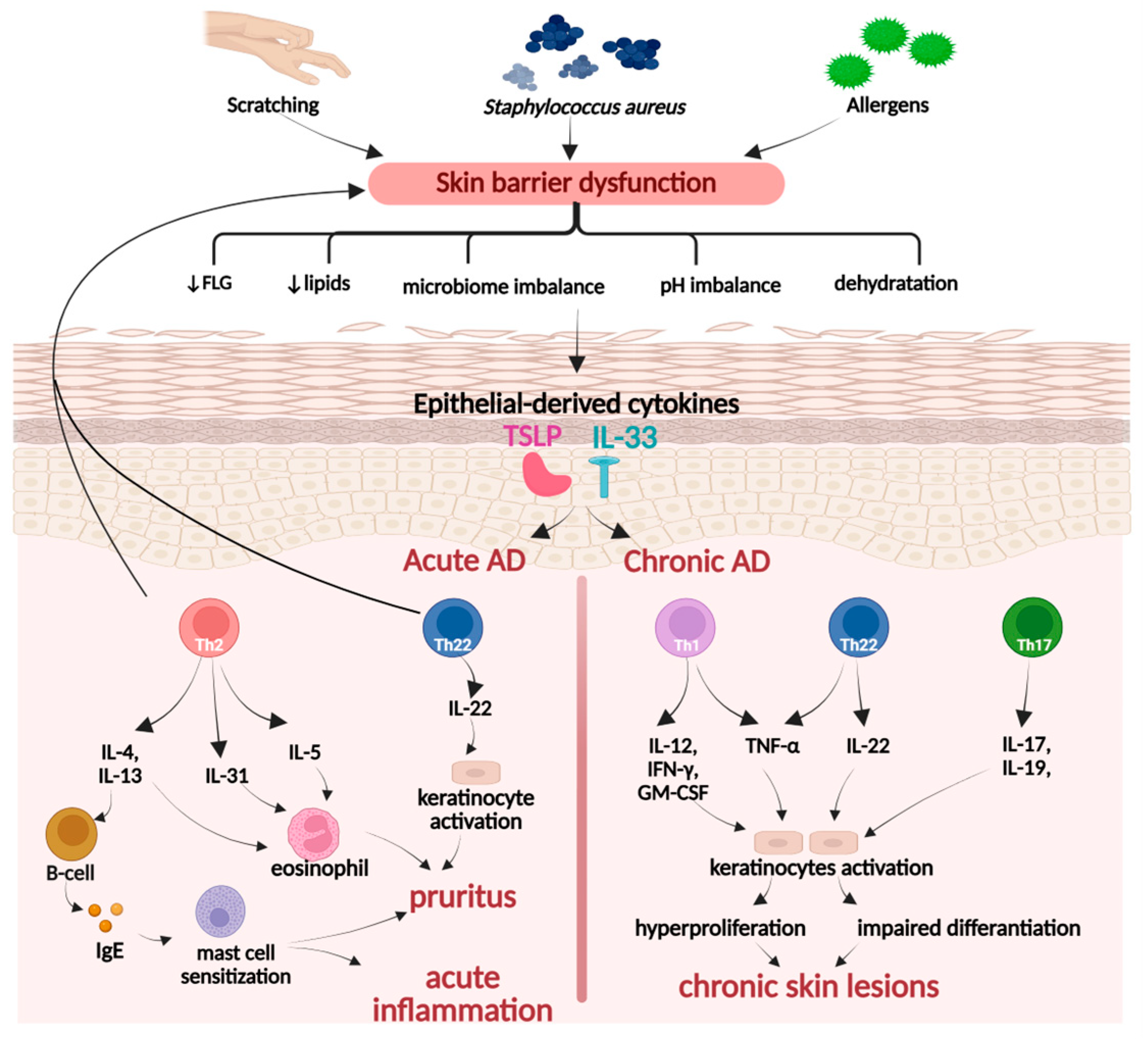 Ijms 26 10116 g005 Ijms 26 10116 g005